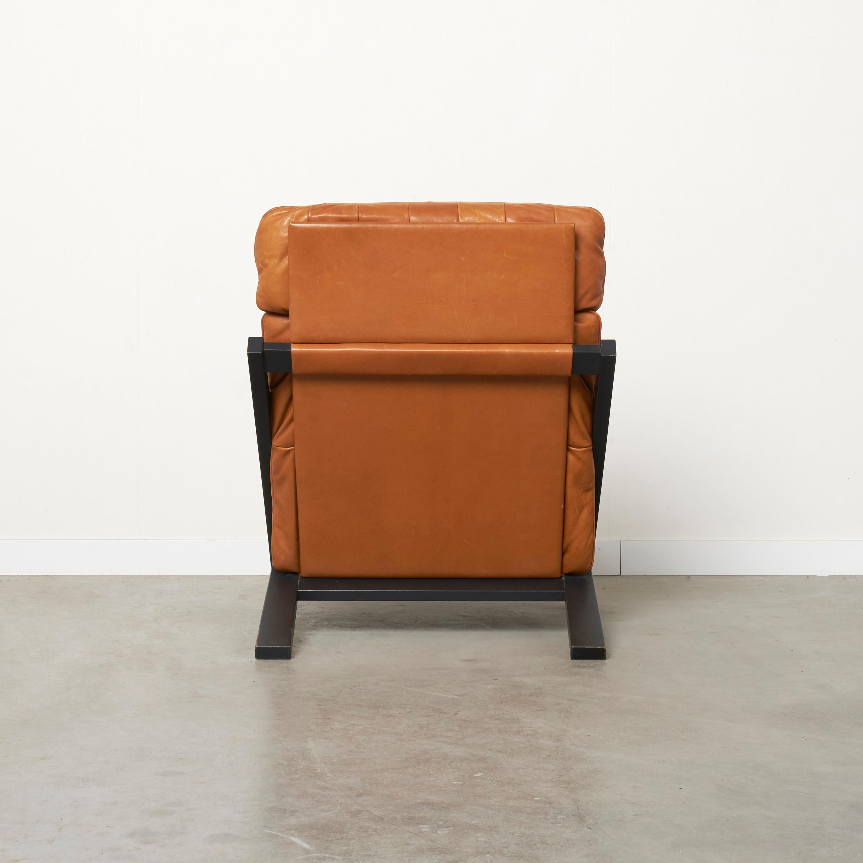 Late 20th Century Cognac leather lounge chair by Ueli Berger, De Sede DS80 For Sale