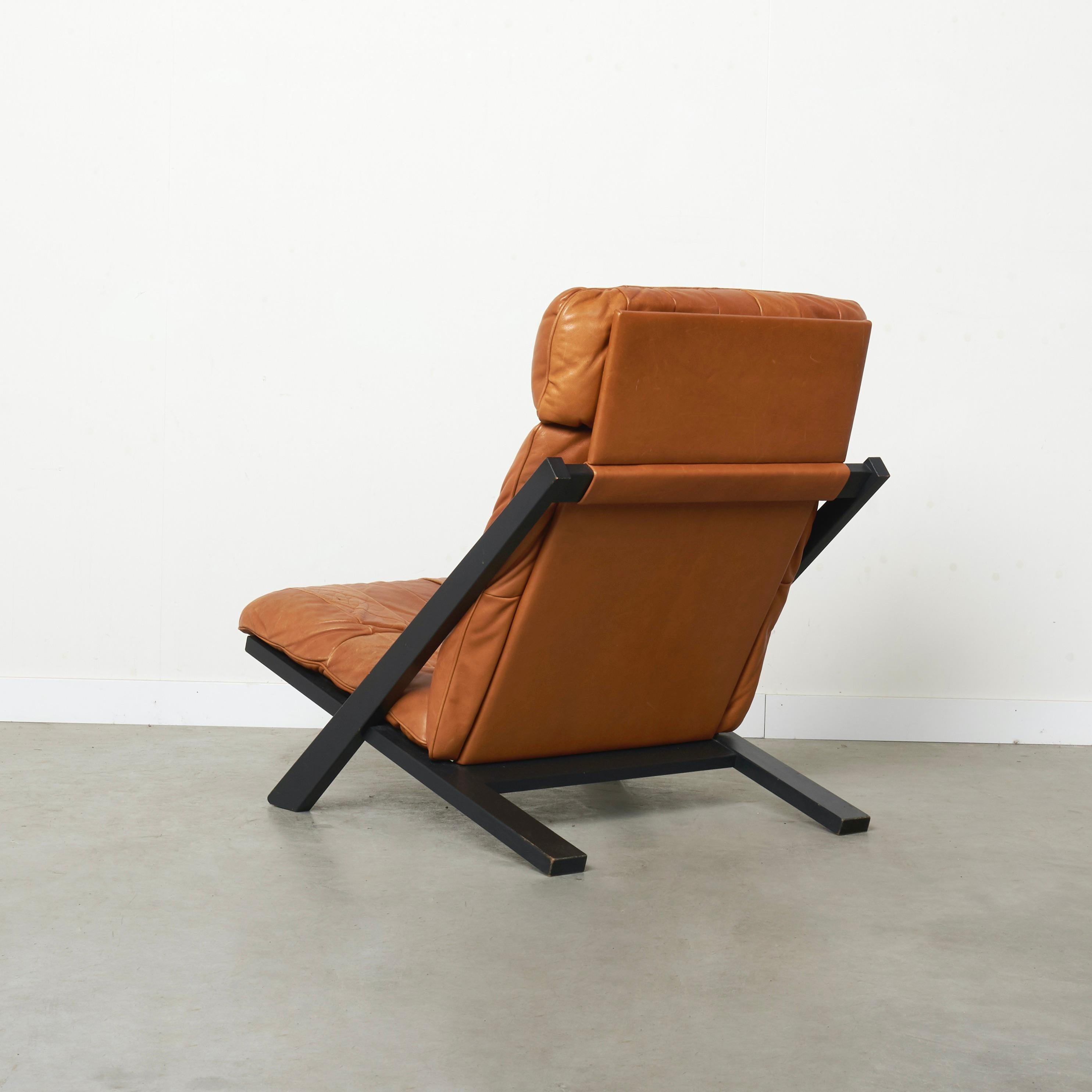 Leather Cognac leather lounge chair by Ueli Berger, De Sede DS80 For Sale