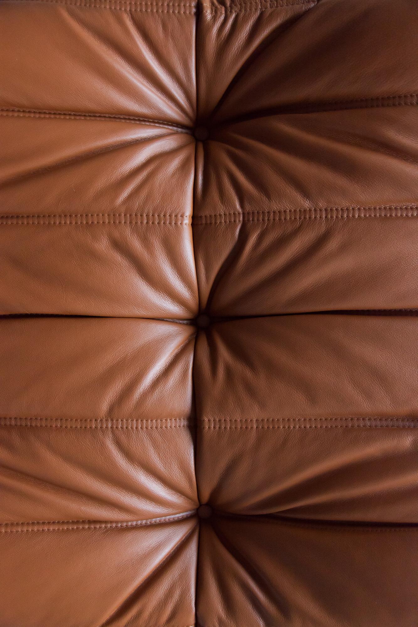 Cognac Leather Togo Living Room Set by Michel Ducaroy for Ligne Roset For Sale 11
