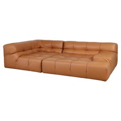 Cognacfarbenes Tufty Time Sofa aus Leder von Patricia Urquiola für B&B Italia