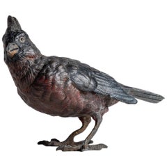 Cold Painted Bronze Bird