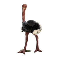 Cold Painted Bronze Ostrich