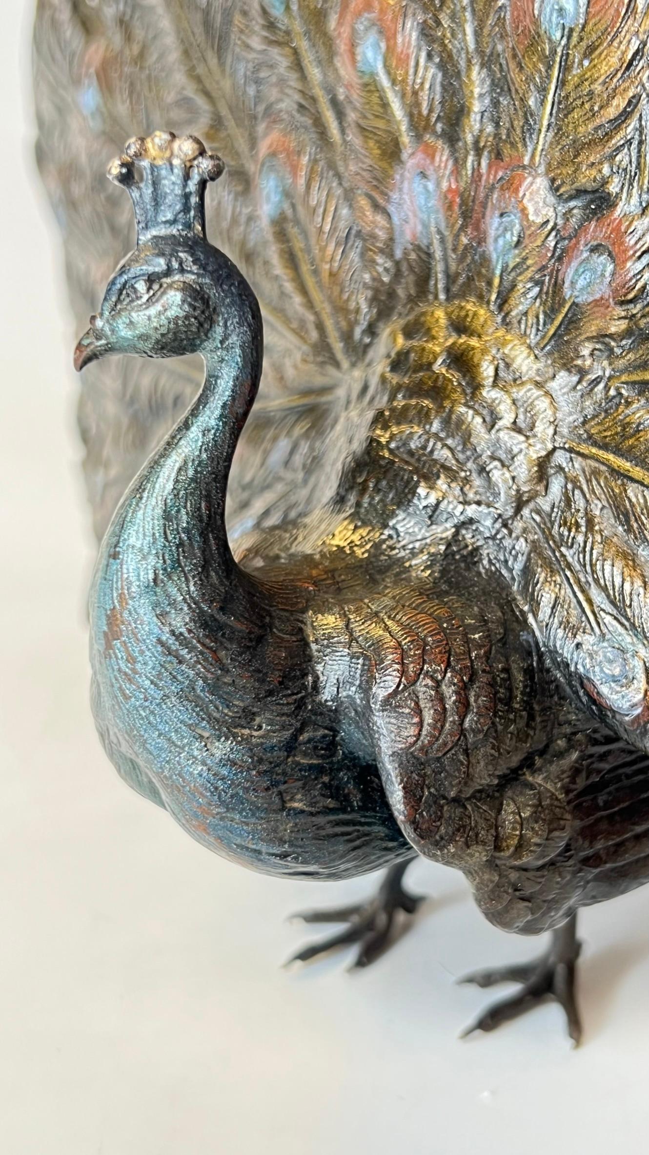 Cold-Painted Bronze Peacock Sculpture by Franz Bergman at 1stDibs