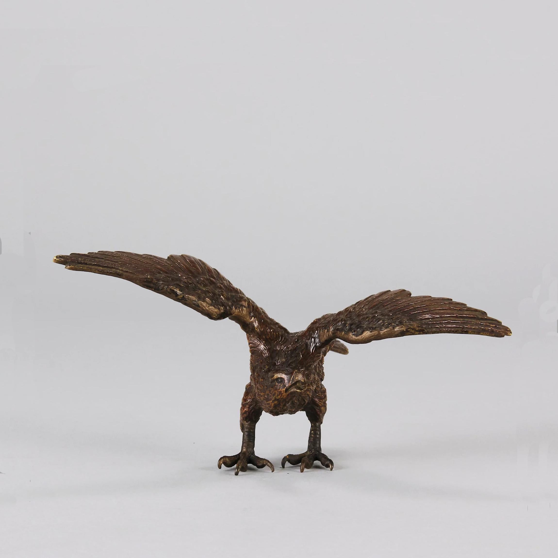 Très belle étude en bronze autrichien peint à froid du début du XXe siècle représentant un aigle déployant ses ailes. La sculpture se tient naturellement en équilibre sur les serres de l'aigle, en position libre. C'est une merveilleuse