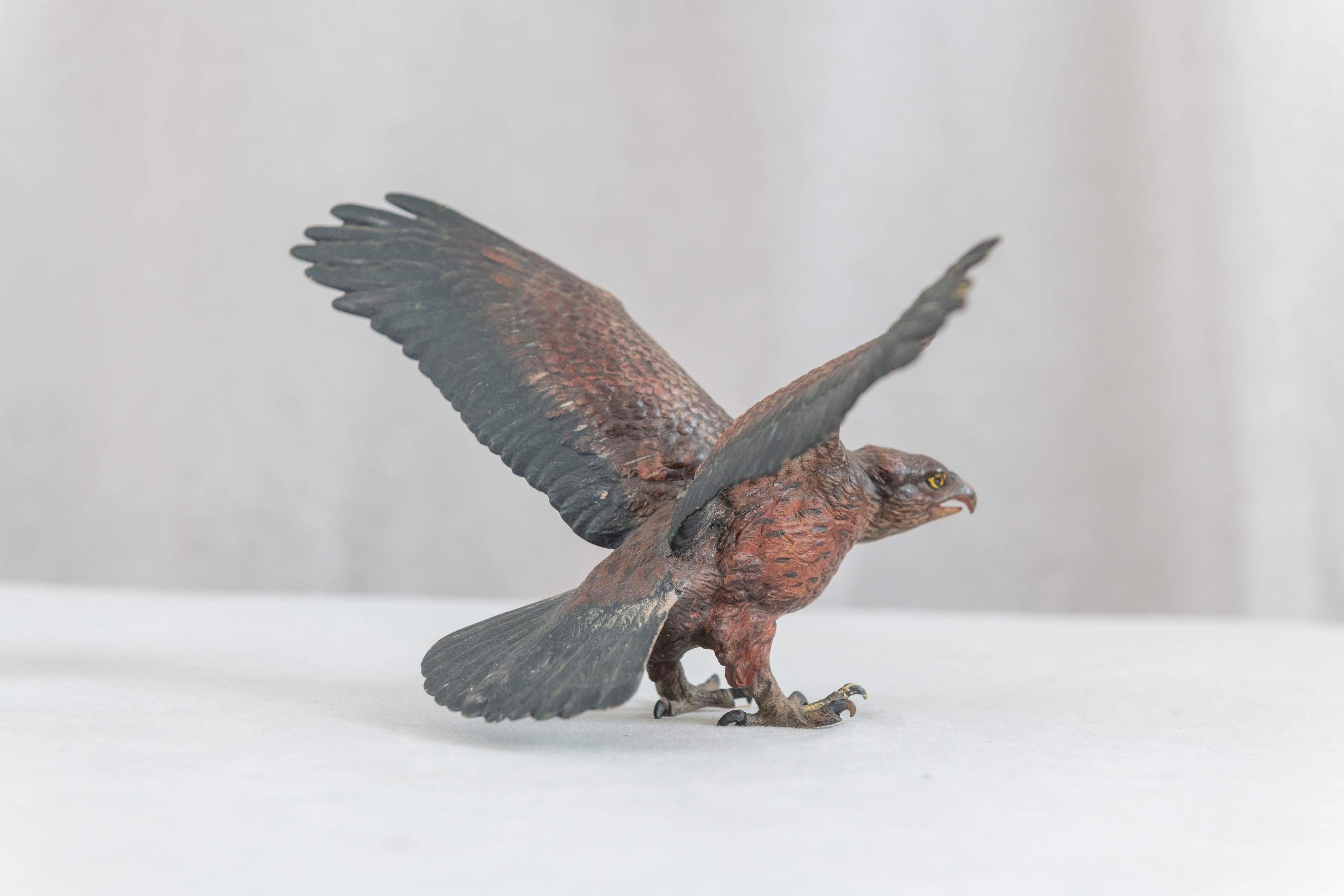 Other Cold Painted Vienna Bronze Eagle, Bergmann Foundry, ca. 1900