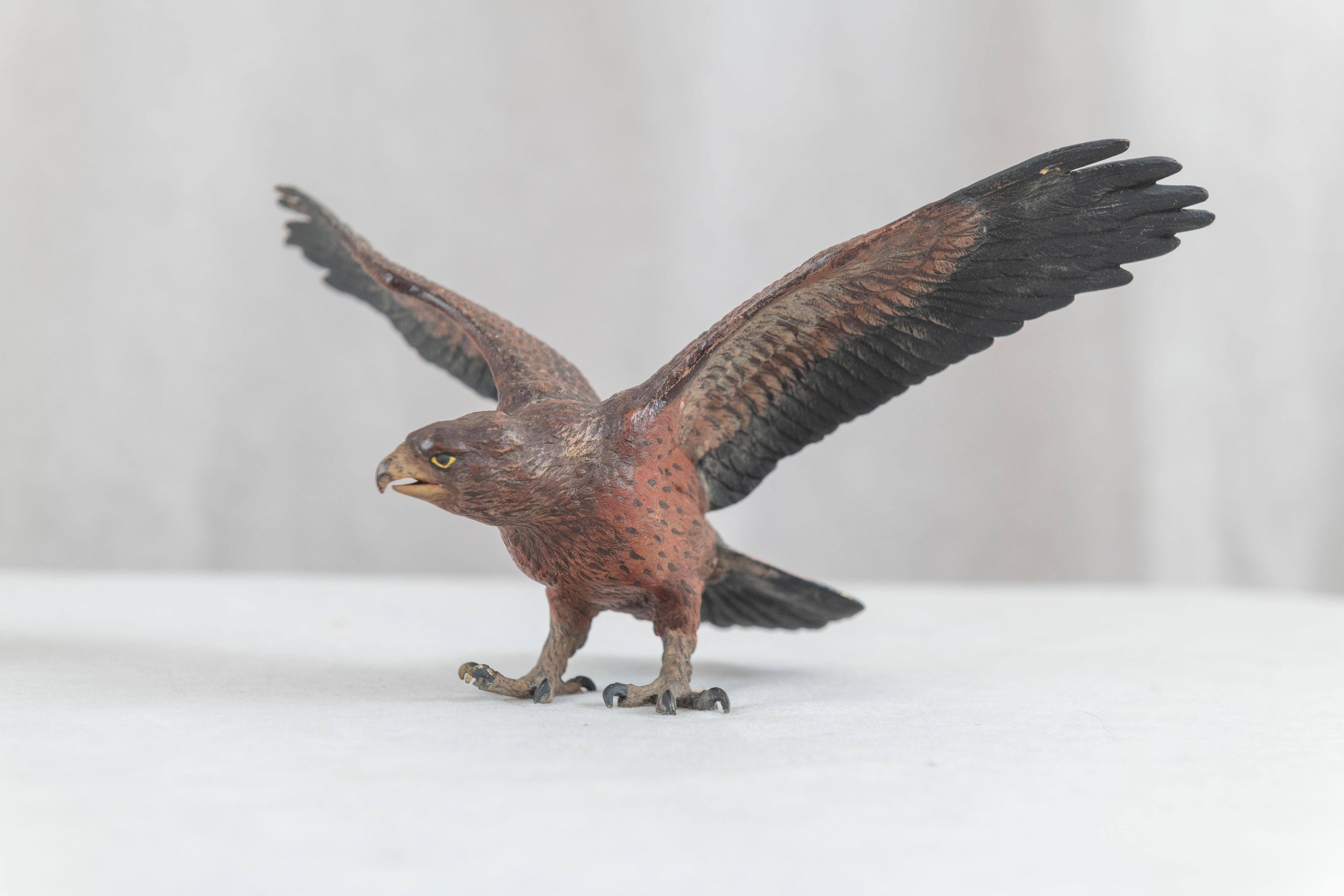 Cold Painted Vienna Bronze Eagle, Bergmann Foundry, ca. 1900 1