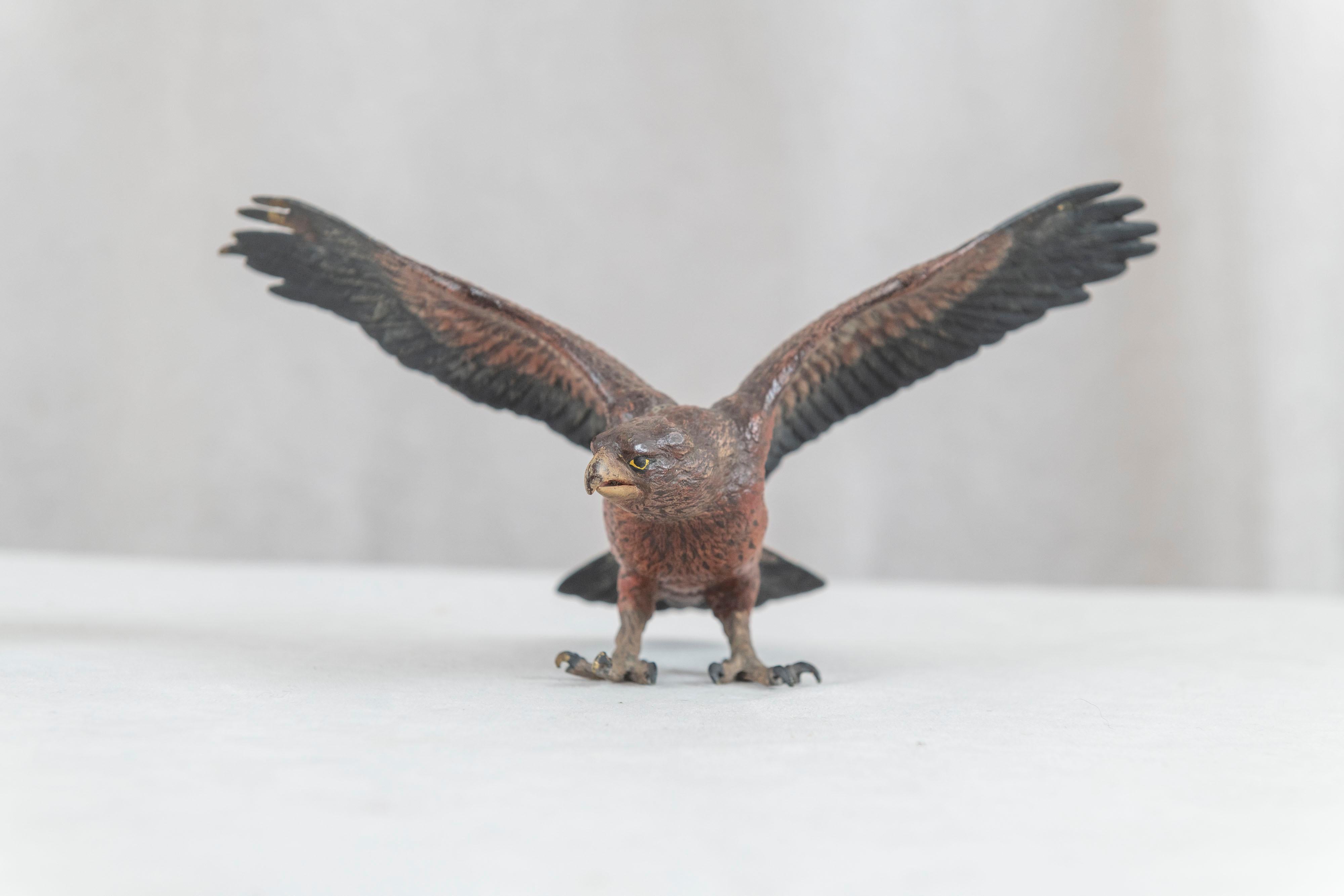 Cold Painted Vienna Bronze Eagle, Bergmann Foundry, ca. 1900 2