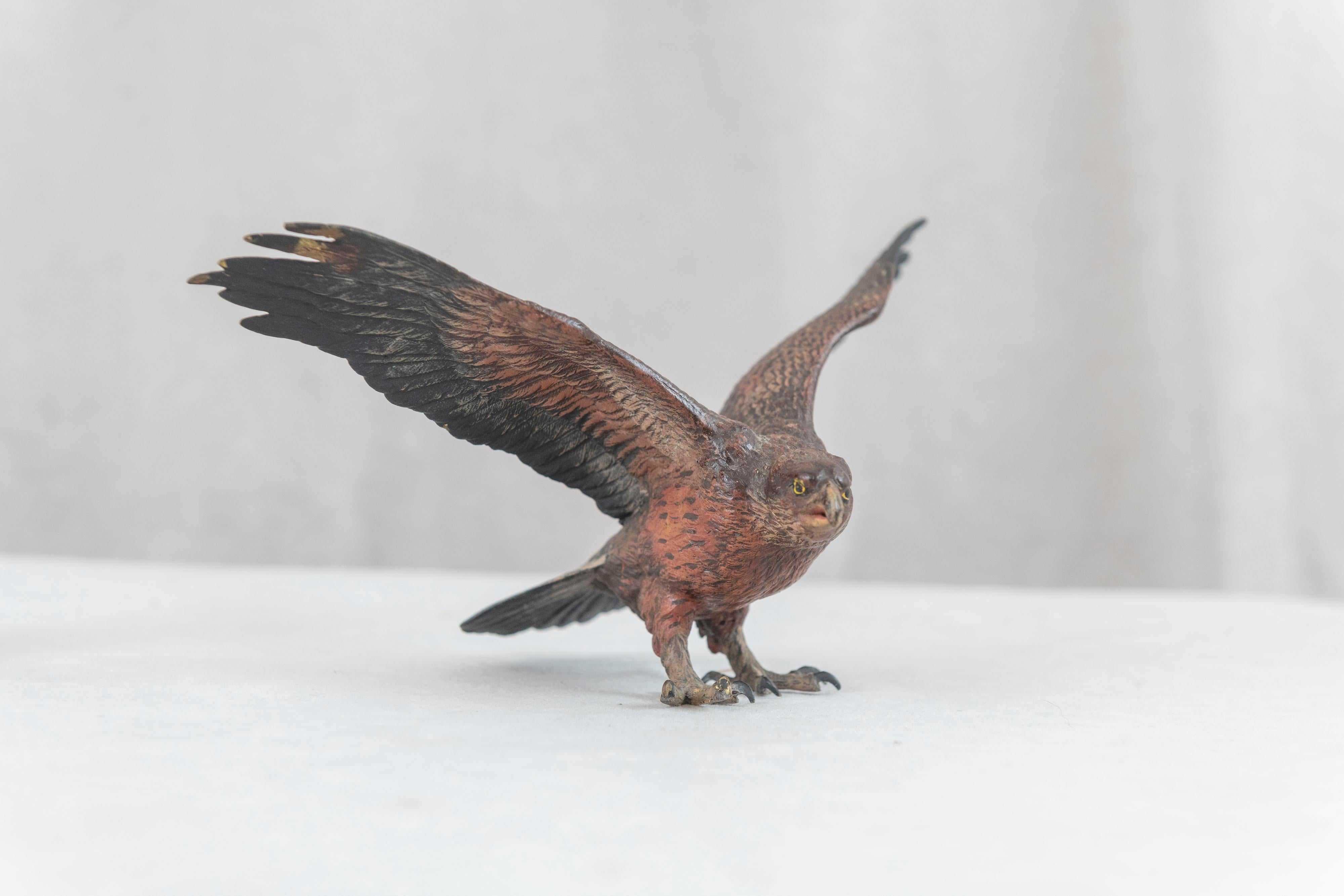 Cold Painted Vienna Bronze Eagle, Bergmann Foundry, ca. 1900 3