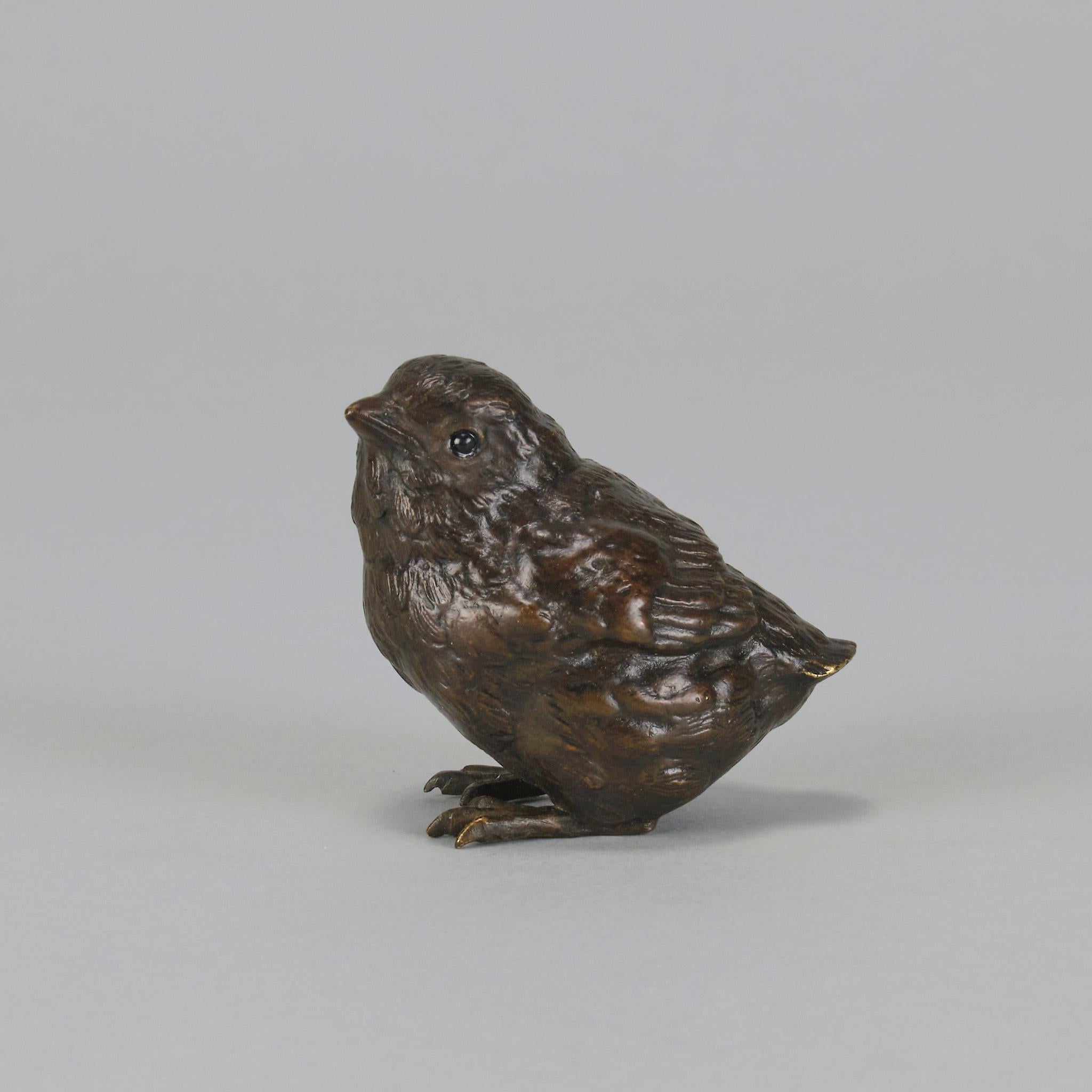 An endearing cold painted Austrian Bronze study of an alert young bird with its head raised. The bronze exhibiting rich brown colour and good hand finished surface detail

ADDITIONAL INFORMATION
height: 5.5 cm 

width: 4 cm

Condition: