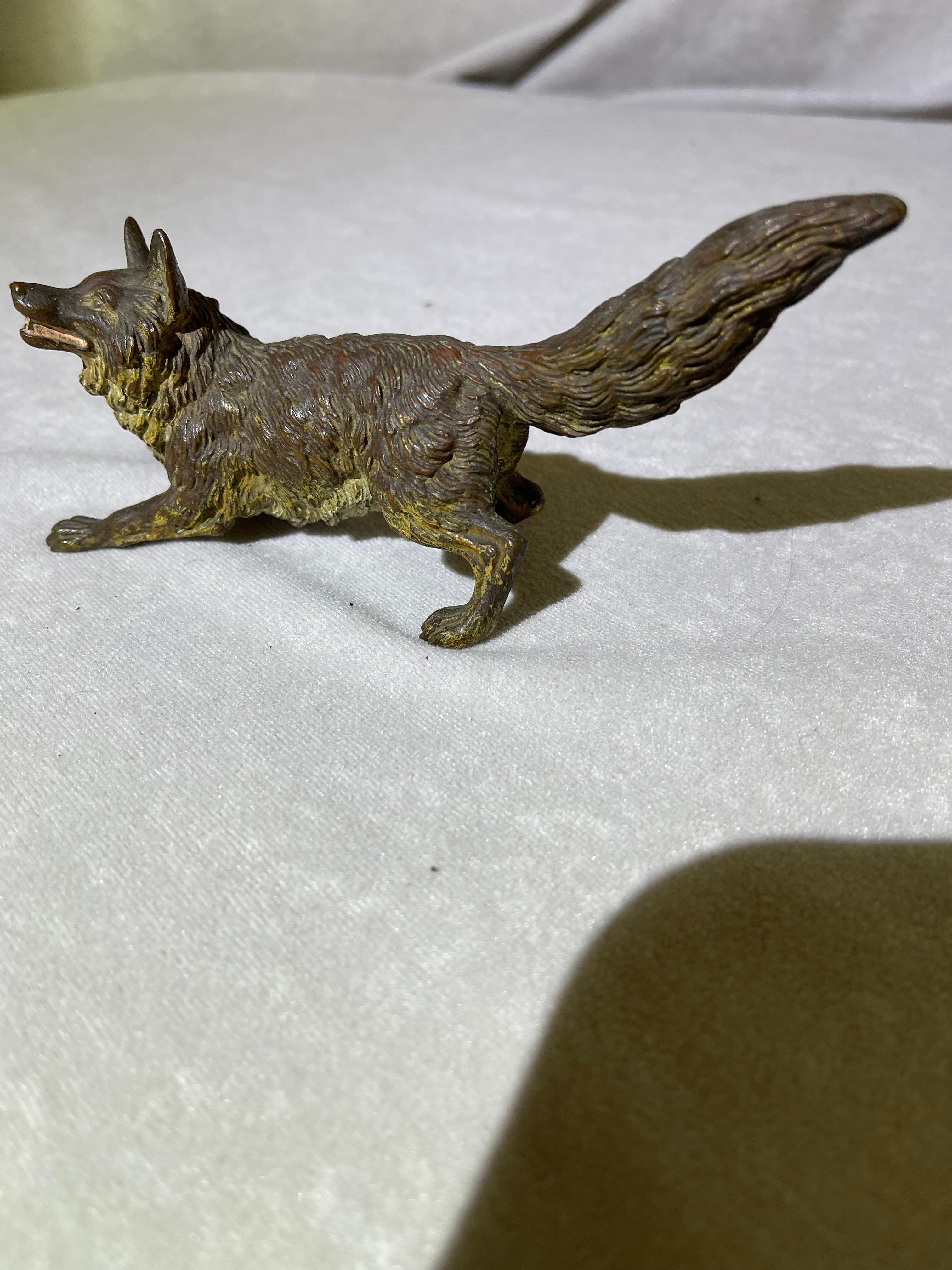 Good size cold painted Vienna bronze fox. Well detailed, attributed to Franz Bergmann Foundry. A nice example.