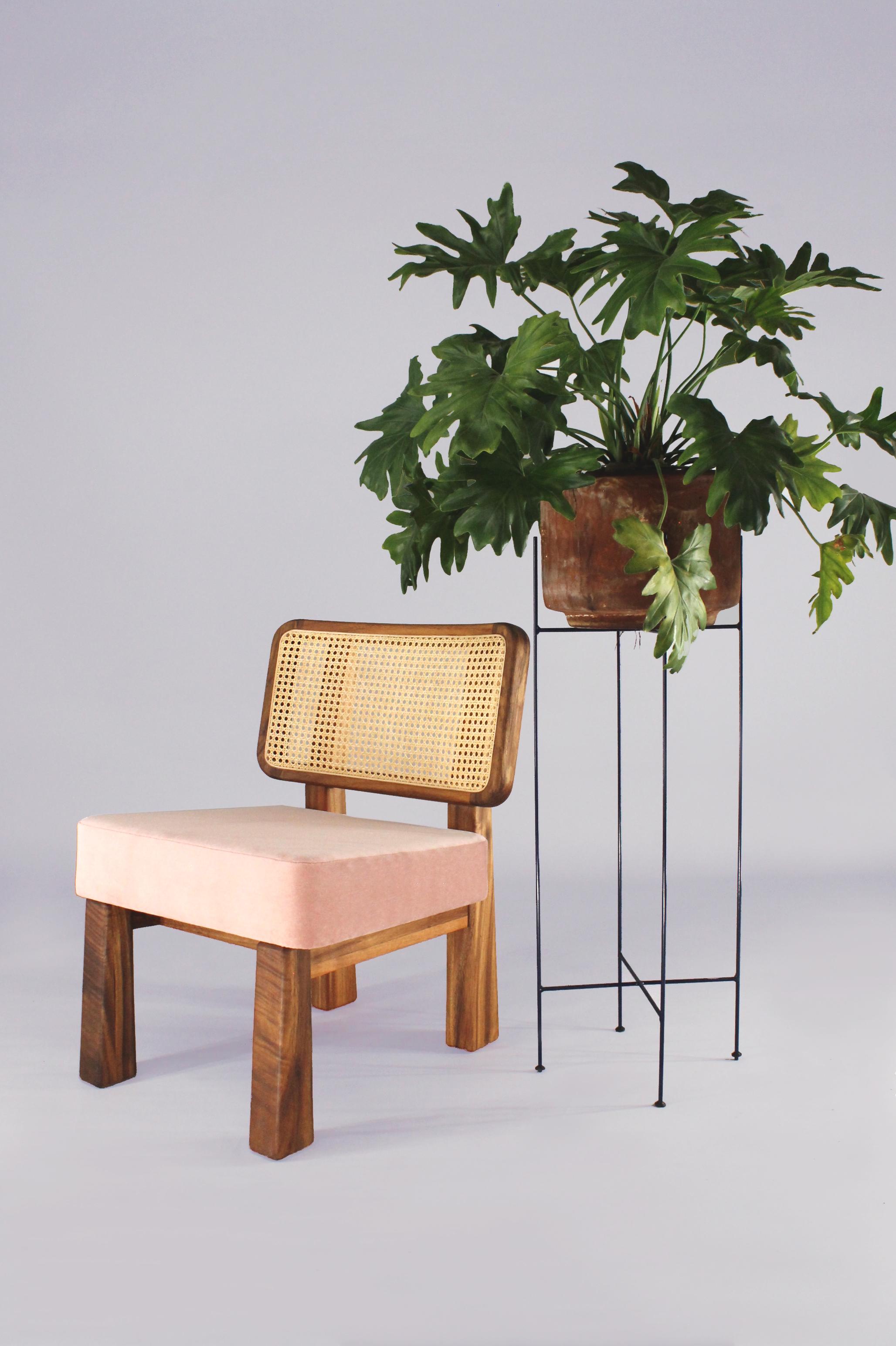 Colima Low Chair Massivholz und Geflechtrücken:: zeitgenössisches mexikanisches Design im Zustand „Neu“ in Mexico City, MX