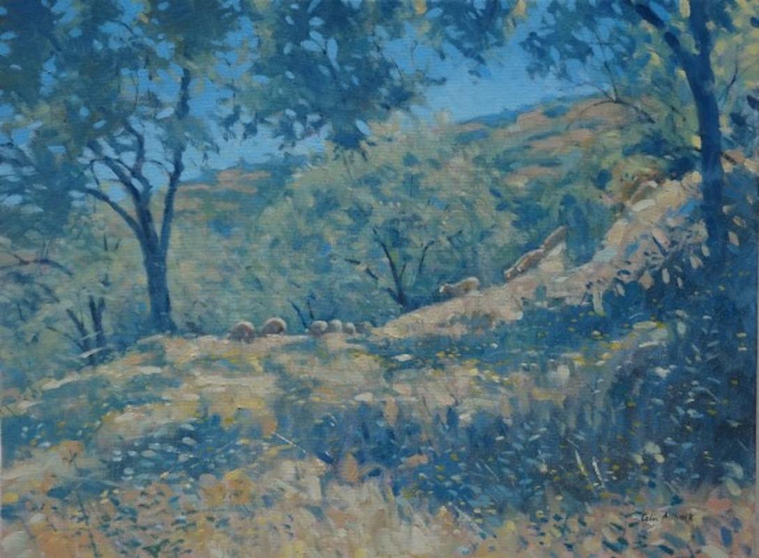 Colin Allbrook Landscape Painting - Almond trees, sheep, Southern Spain, original landscape painting, animal, field