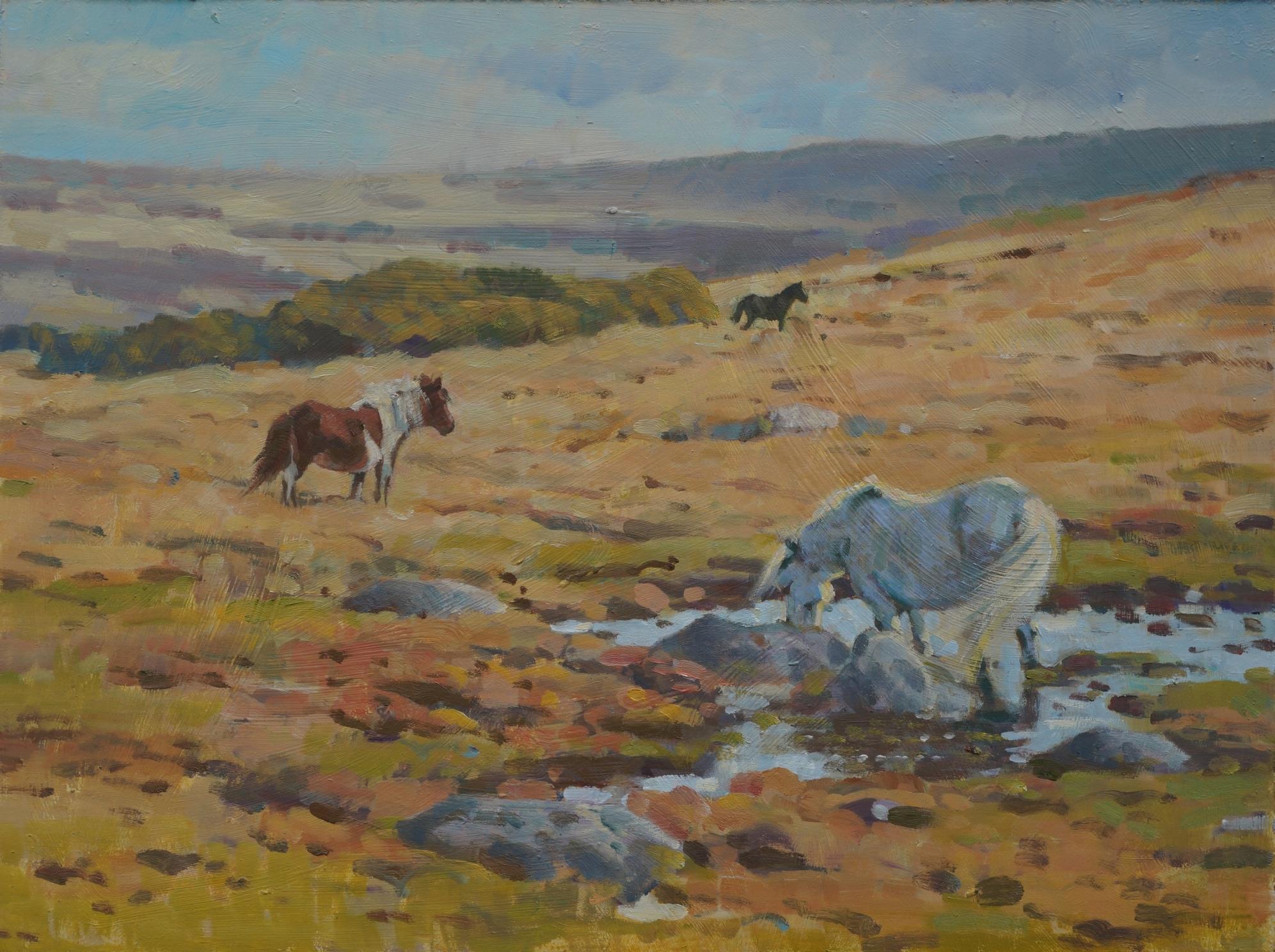 Colin Allbrook Landscape Painting - Autumn Dartmoor, Original Oil Painting, Affordable Art, Landscape Art