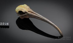 "Ibis Talisman Skull" Bronze Sculpture