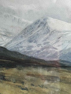 A Gleam of Sun after a Spring Snowstorm