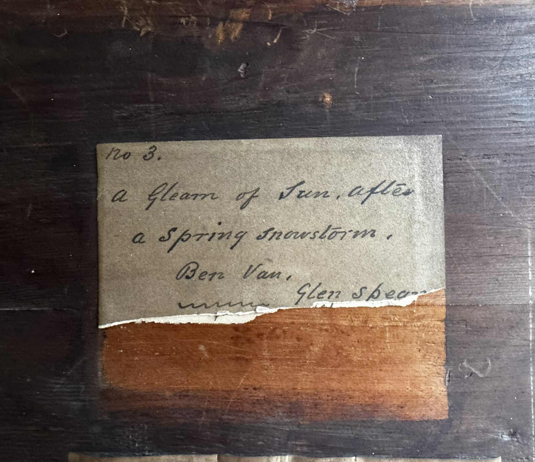 Un rayon de soleil après une tempête de neige printanière en vente 3