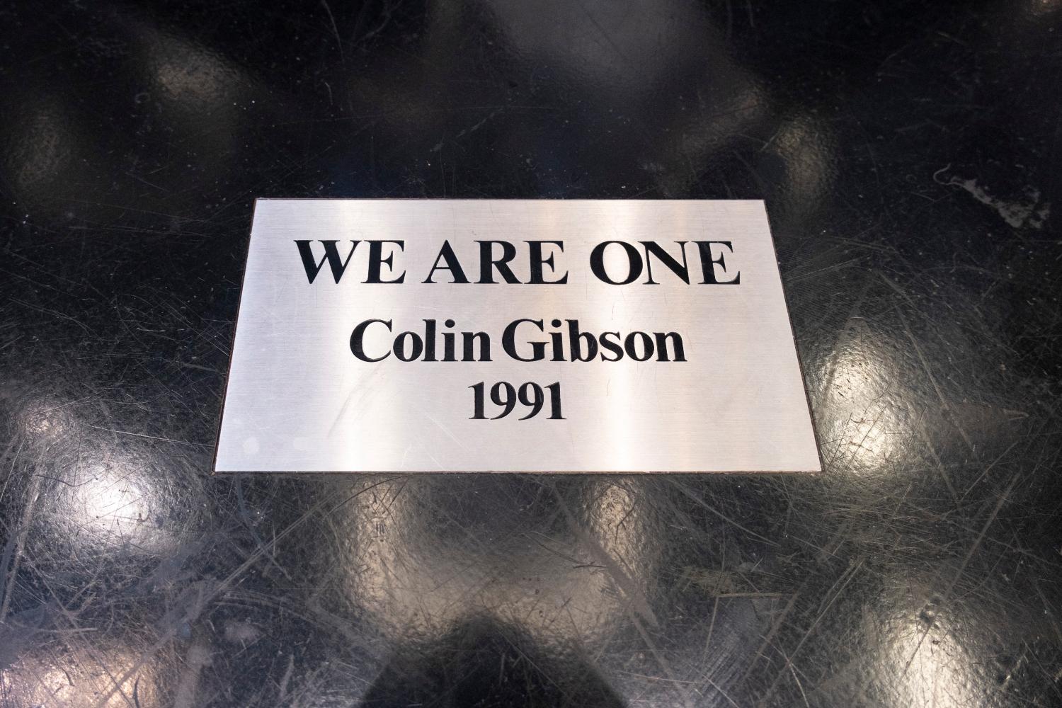 we are many we are one colin gibson
