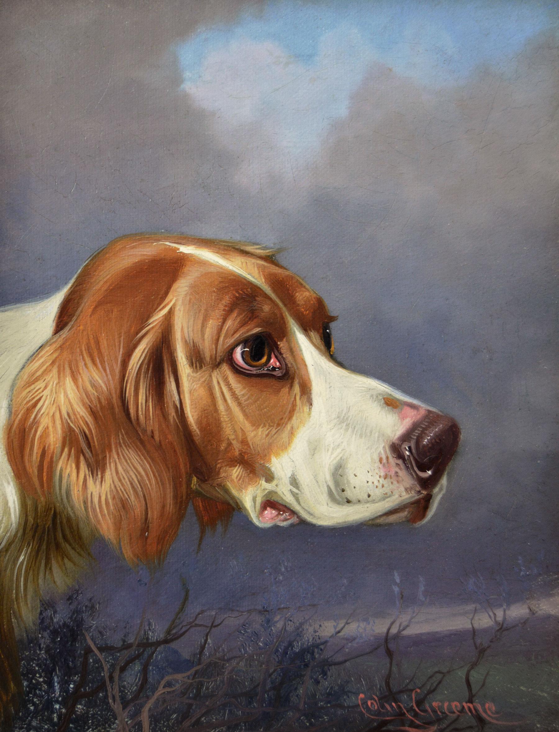 19th Century Pair of sporting dog oil portrait paintings of a setter & a Pointer - Painting by Colin Graeme Roe