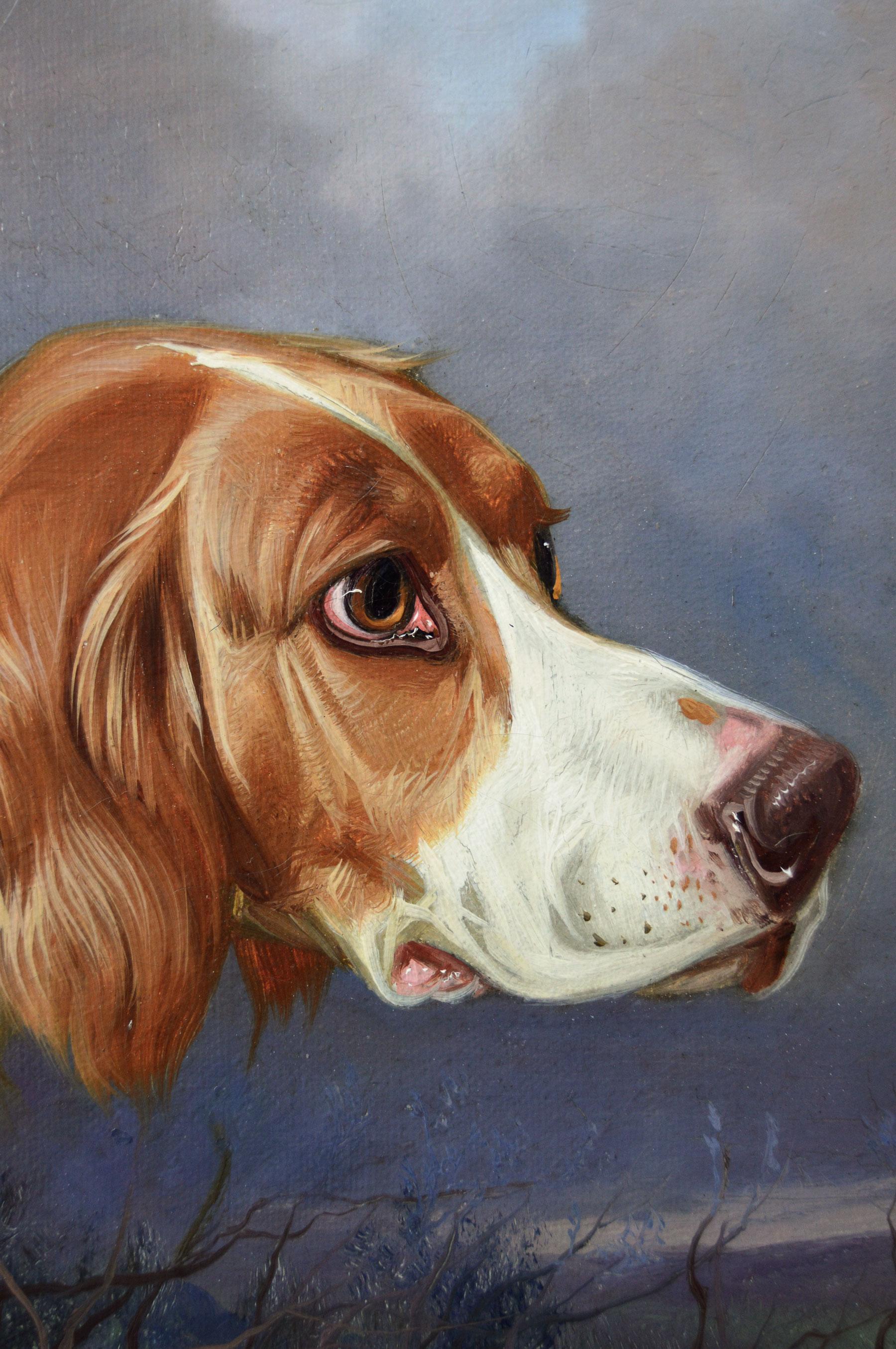 19th Century Pair of sporting dog oil portrait paintings of a setter & a Pointer - Victorian Painting by Colin Graeme Roe