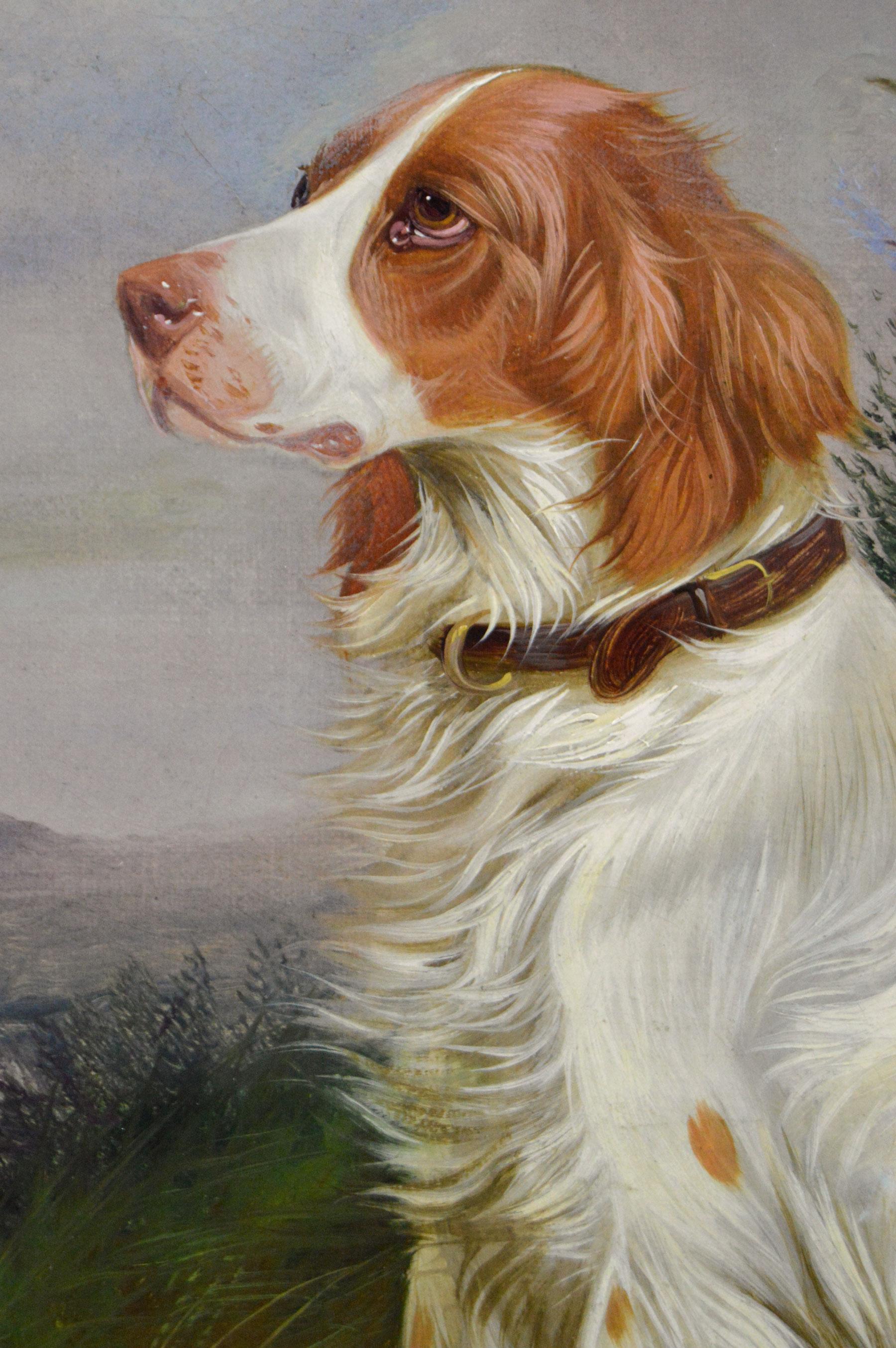 19th Century sporting dog oil painting of a setter in a landscape - Brown Animal Painting by Colin Graeme Roe