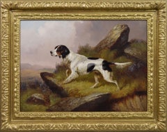 Animal Paintings