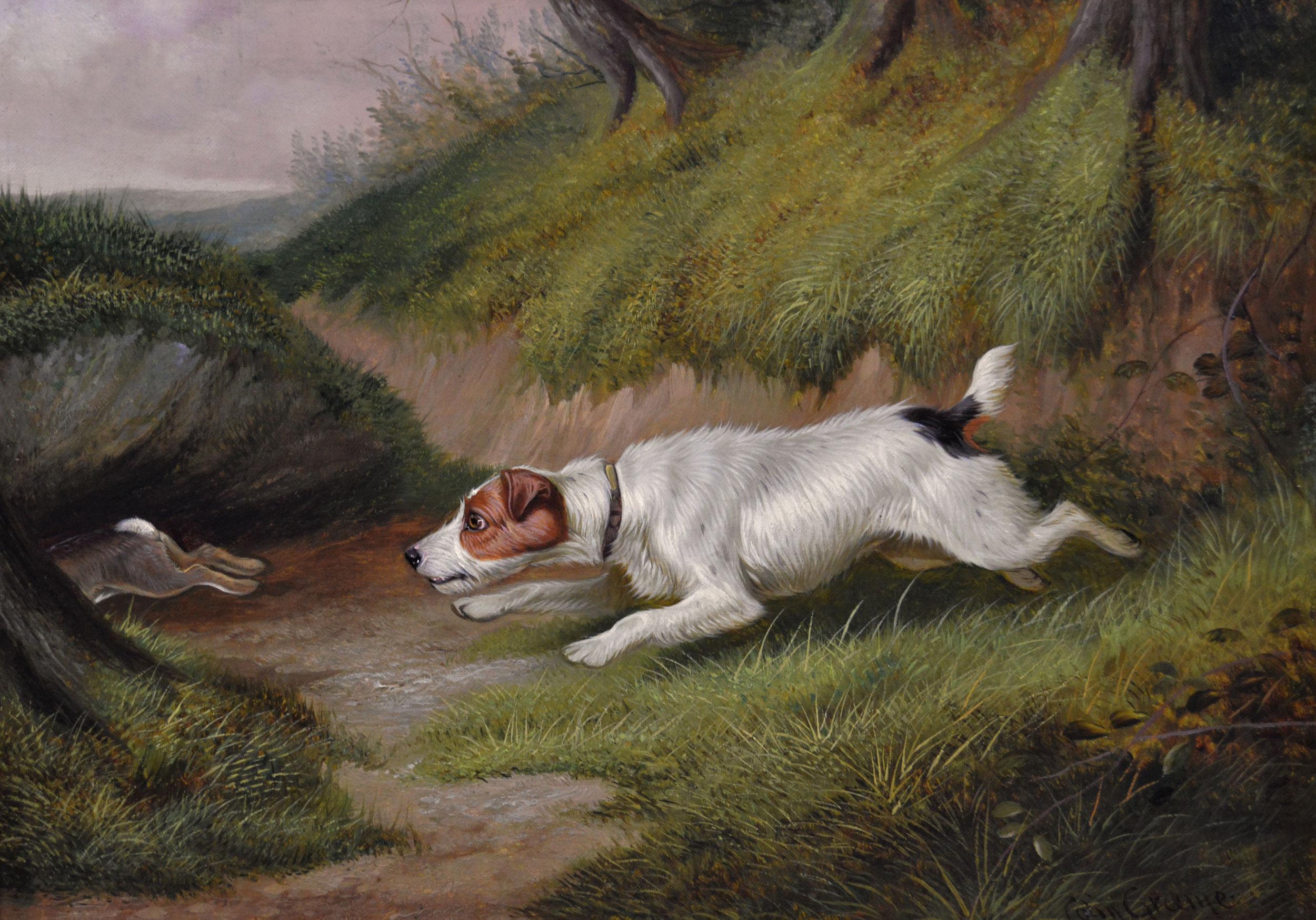 Dipinto a olio del XIX secolo raffigurante un cane sportivo, un terrier che insegue un coniglio - Painting di Colin Graeme Roe