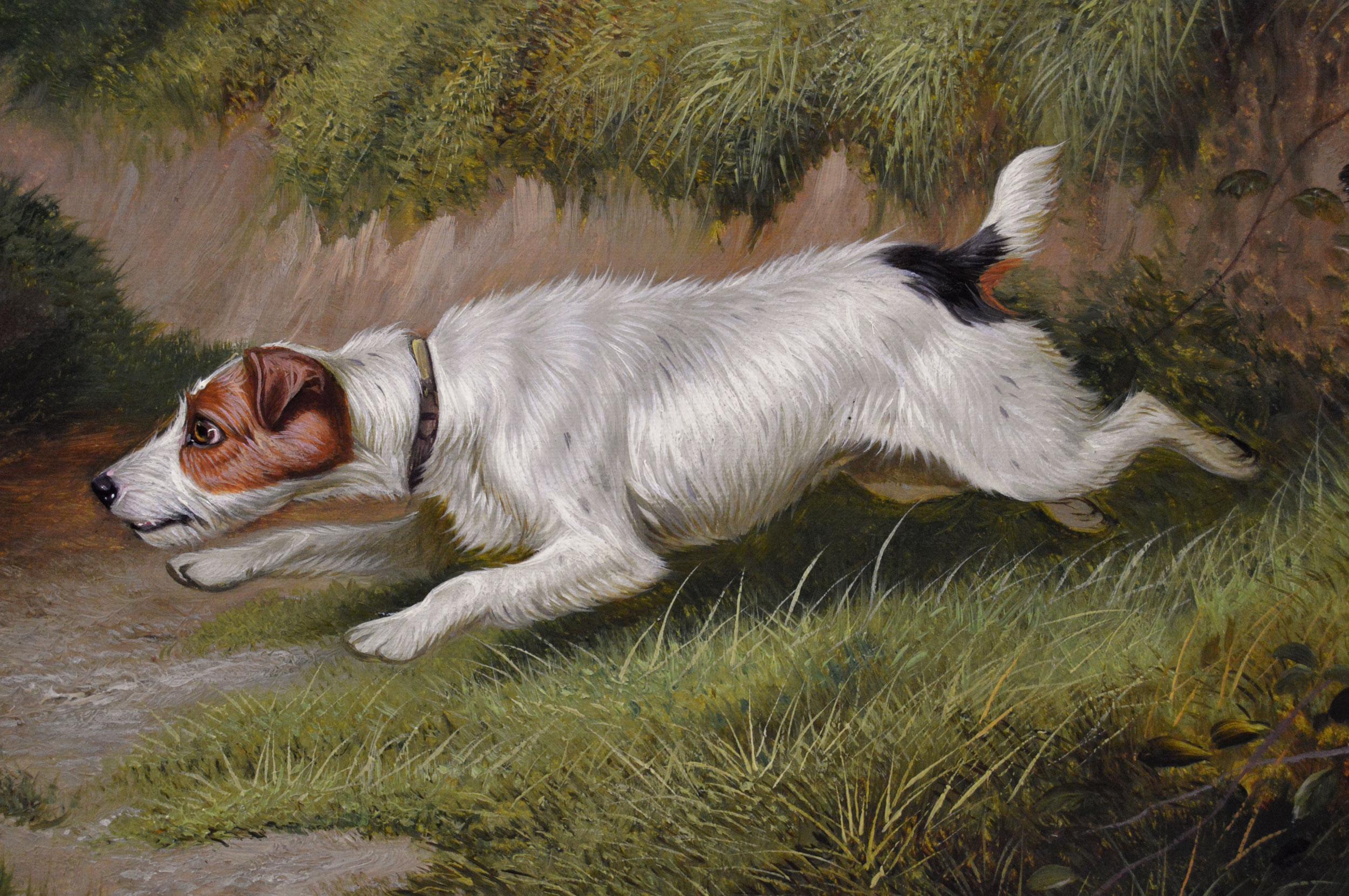 Dipinto a olio del XIX secolo raffigurante un cane sportivo, un terrier che insegue un coniglio - Painting Vittoriano di Colin Graeme Roe
