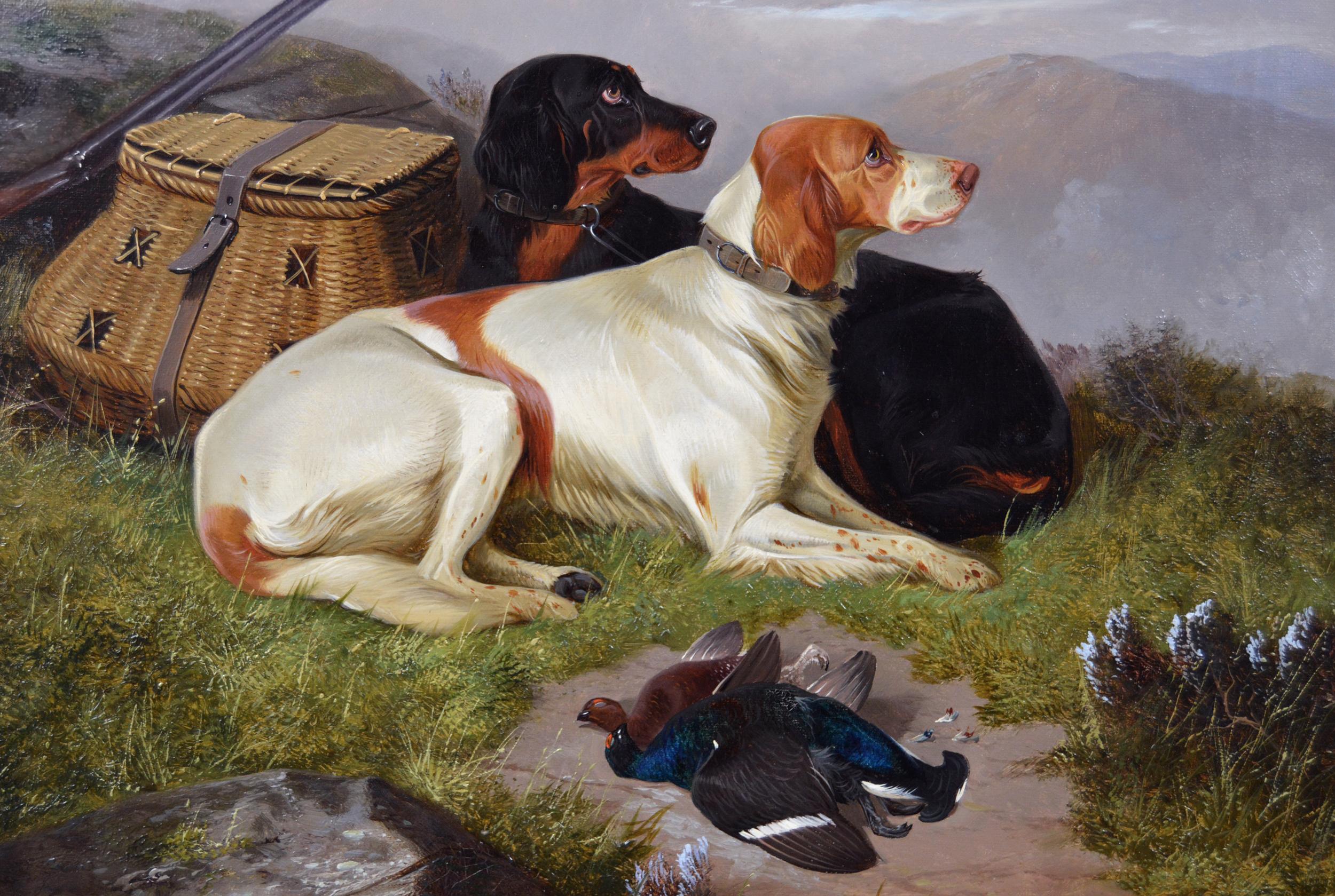 colin hunter dogs