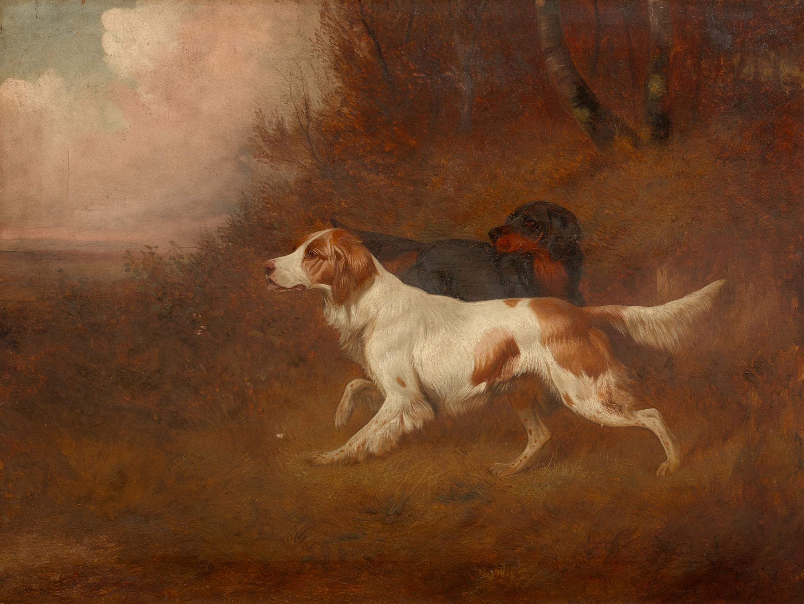 colin roe