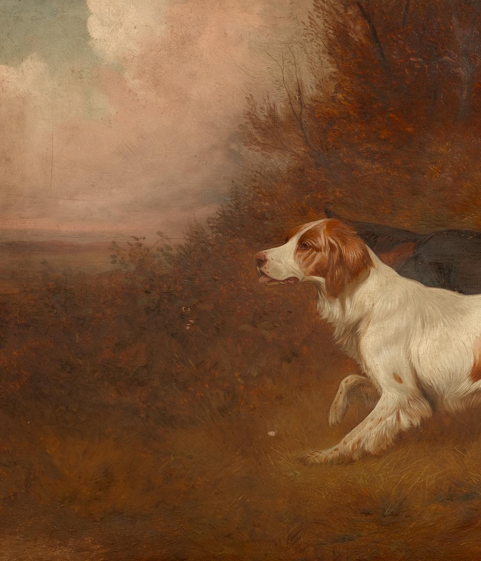 English Setters Flushing Pheasants, 19th Century by COLIN GRAEME ROE (1858-1910) 1