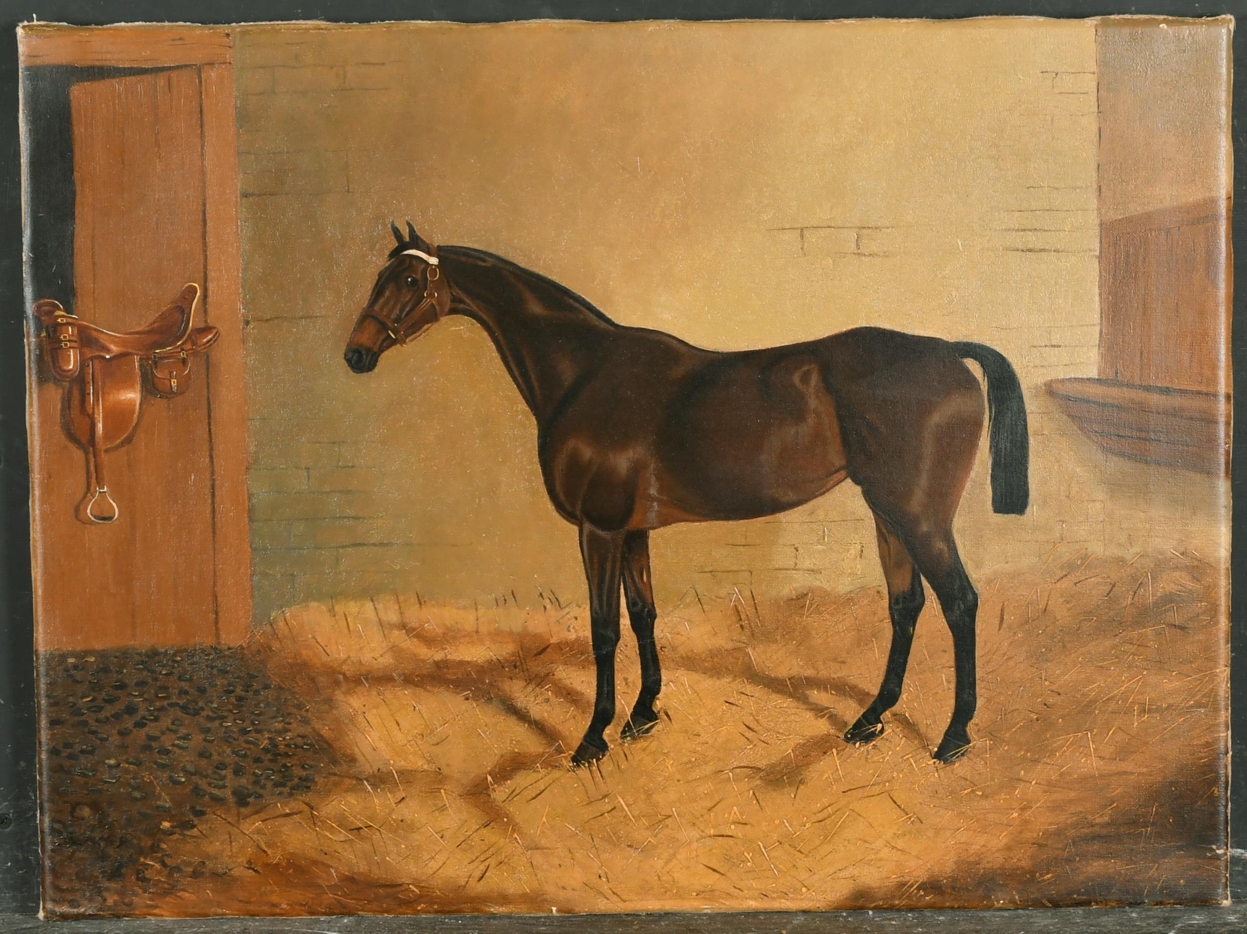 Fine Antique British Sporting Art Oil Painting, A Hunter in Stable Interior - Brown Animal Painting by Colin Graeme Roe