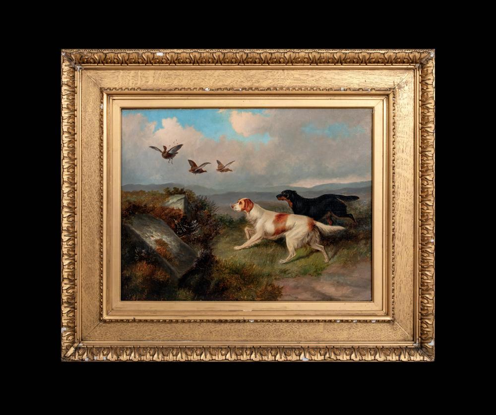 Gordon and Irish Setters Flushing Grouse, 19th Century    - Painting by Colin Graeme Roe