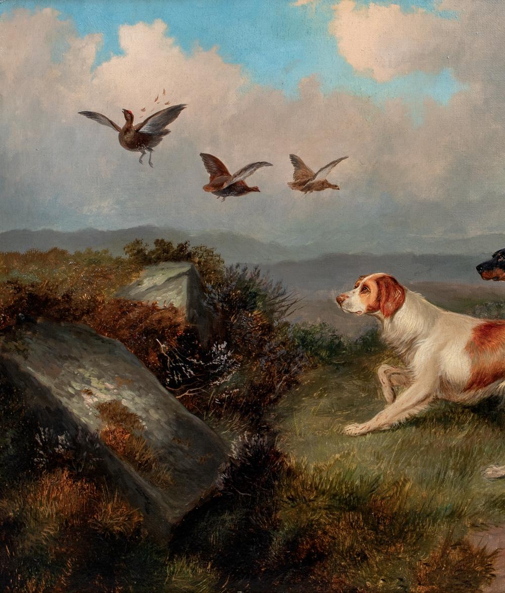 Gordon and Irish Setters Flushing Grouse, 19th Century 

by  COLIN GRAEME ROE (1855-1910) similar to $15,000

Large 19th Century portrait of Gordon and Irish setters flushing grouse in the Scottish Highlands, oil on canvas by Colin Graeme Roe. Good
