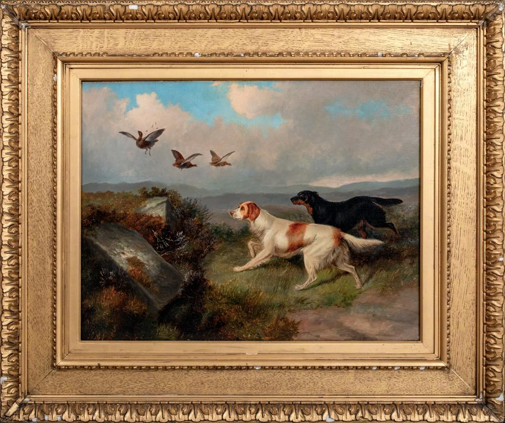 Colin Graeme Roe Animal Painting - Gordon and Irish Setters Flushing Grouse, 19th Century   