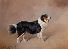 Rover, a collie