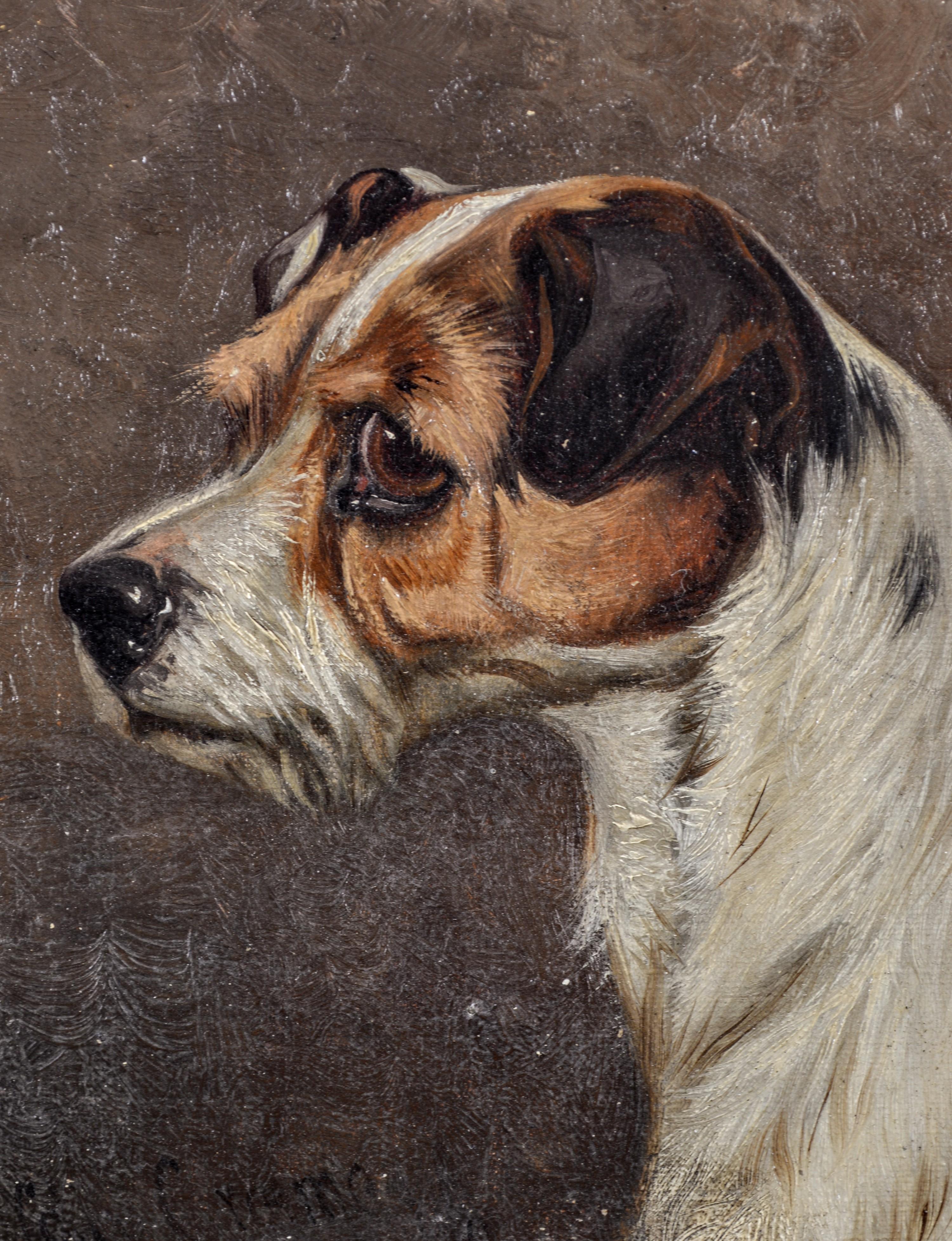 Terrier Porträt - 19. Jahrhundert Antike Englische Öl auf Leinwand Hund Gemälde (Braun), Animal Painting, von Colin Graeme Roe