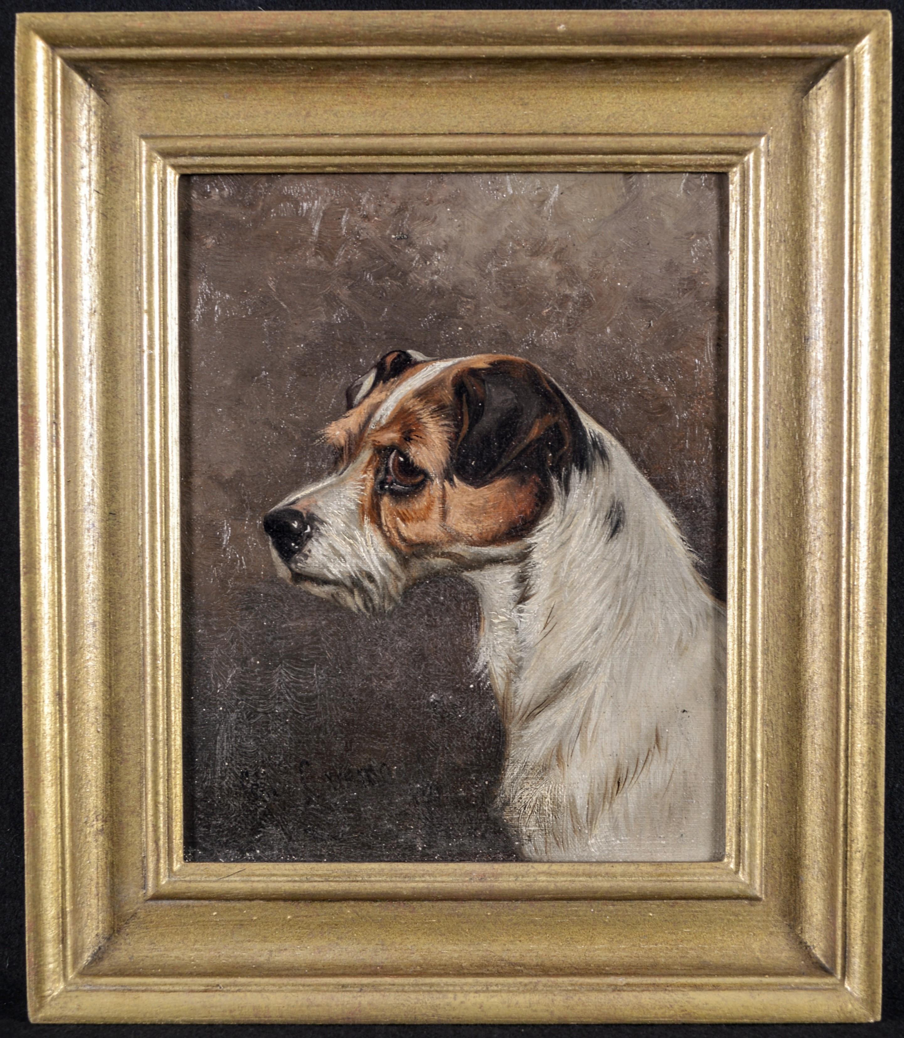 Colin Graeme Roe Animal Painting – Terrier Porträt - 19. Jahrhundert Antike Englische Öl auf Leinwand Hund Gemälde