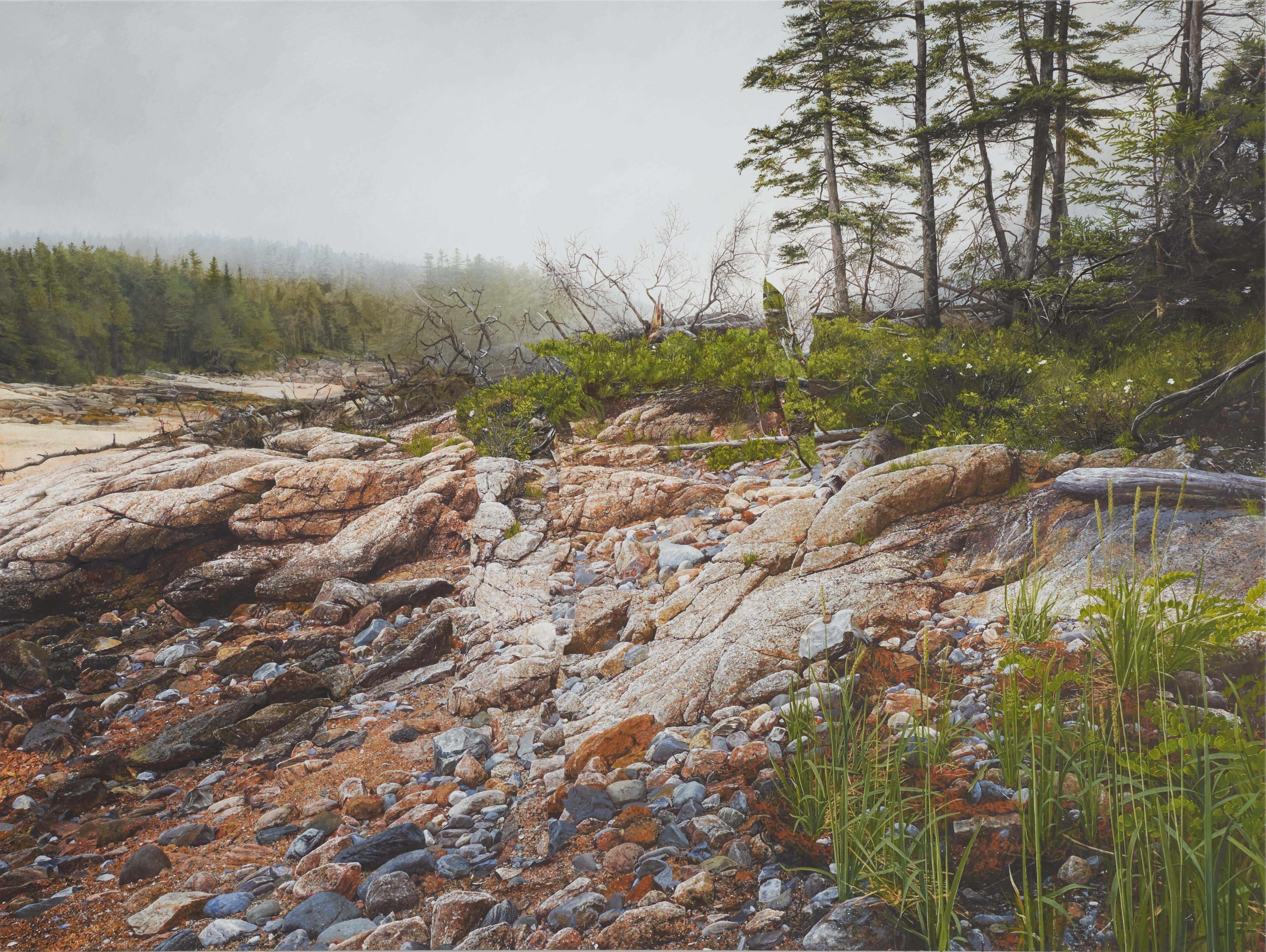 Landscape Painting Colin Hunt - Sans titre (Fallen Spruce)