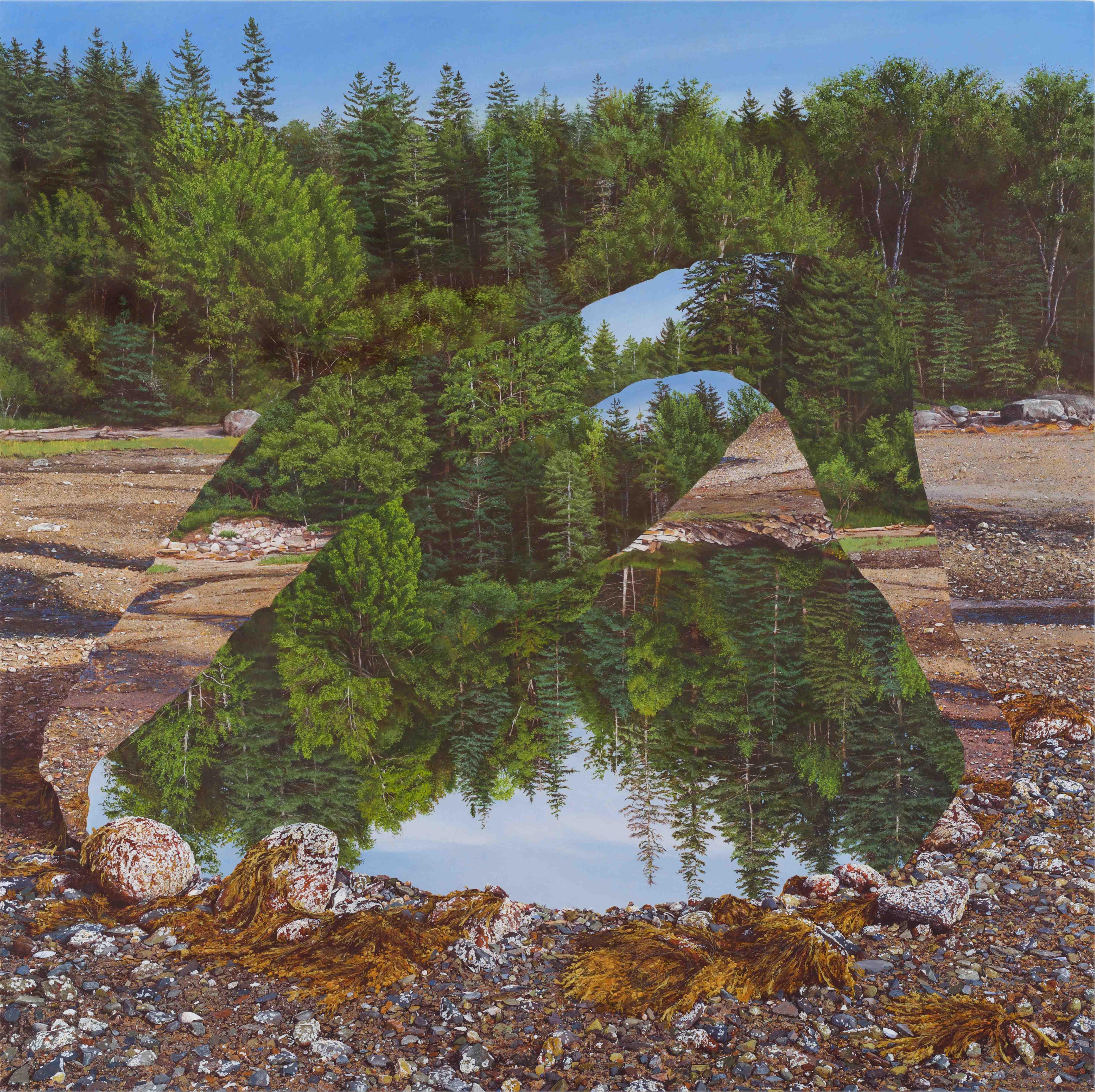 Colin Hunt Landscape Painting – Unbetitelt (Kiefer)