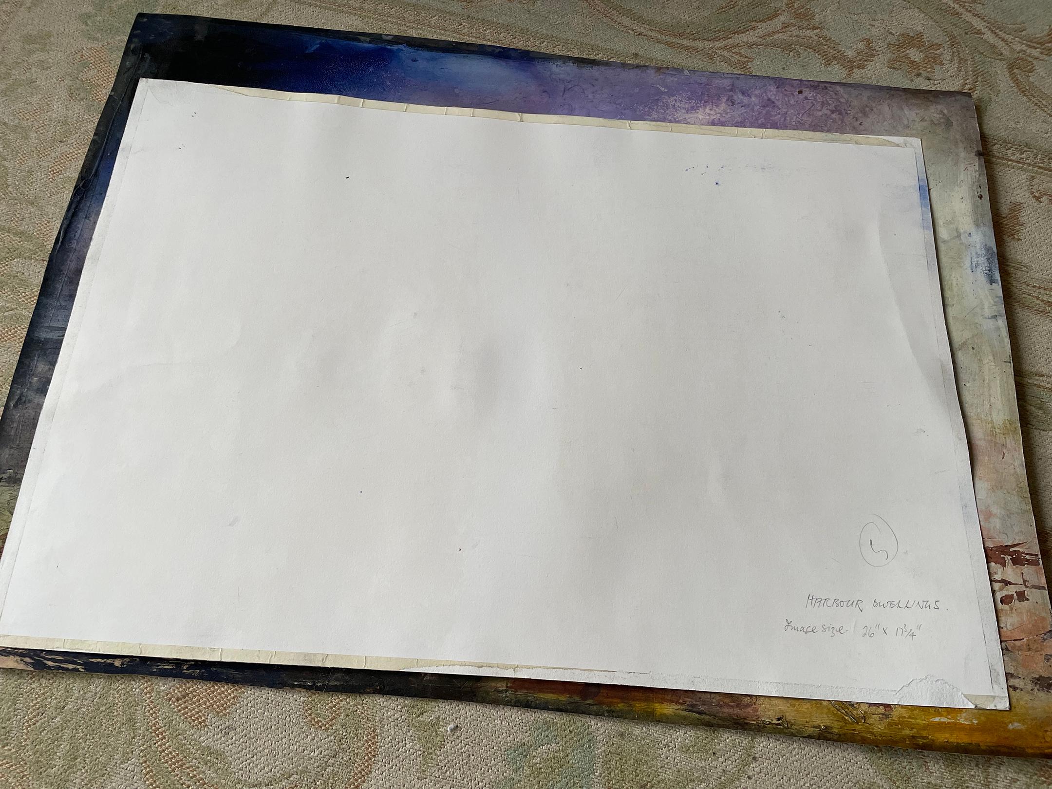 Dans ses premières années, Colin Kent a étudié et travaillé comme architecte. Il est élu membre du Royal Institute of Painters in Watercolours en 1971 et devient alors peintre à plein temps.

Ses paysages et ses intérieurs sont peints à partir de