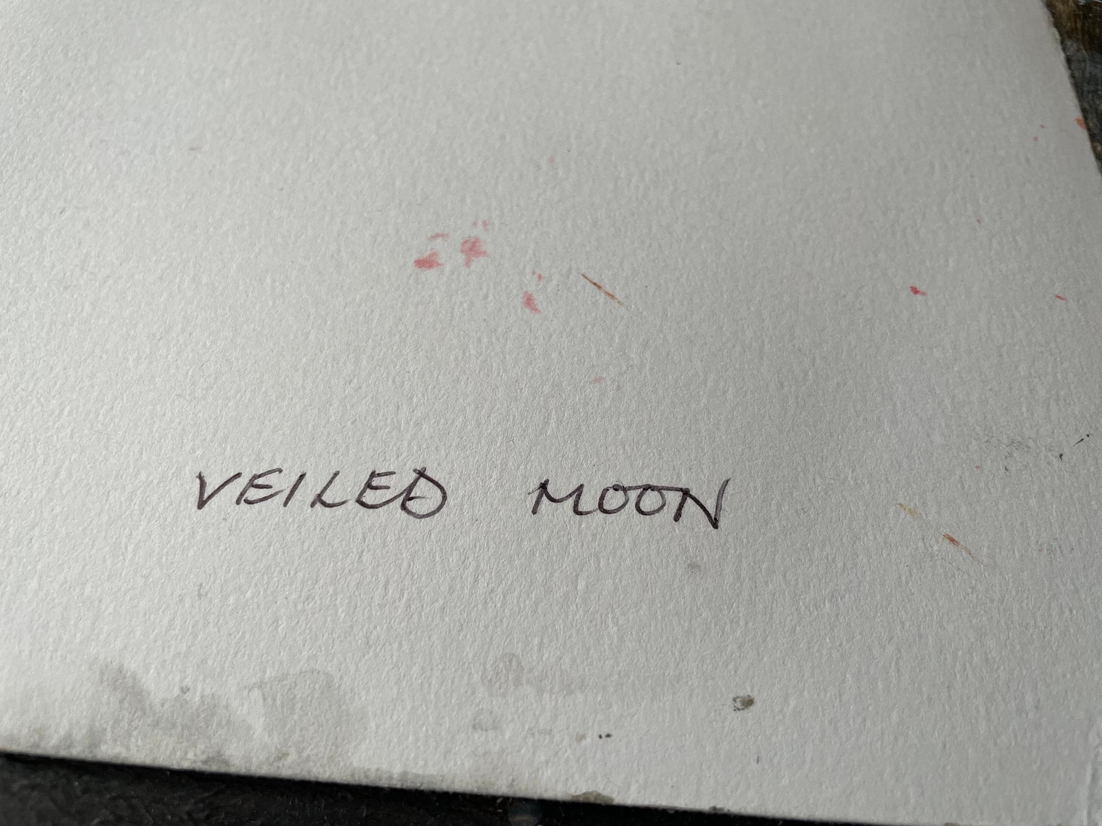 Veiled Moon For Sale 4