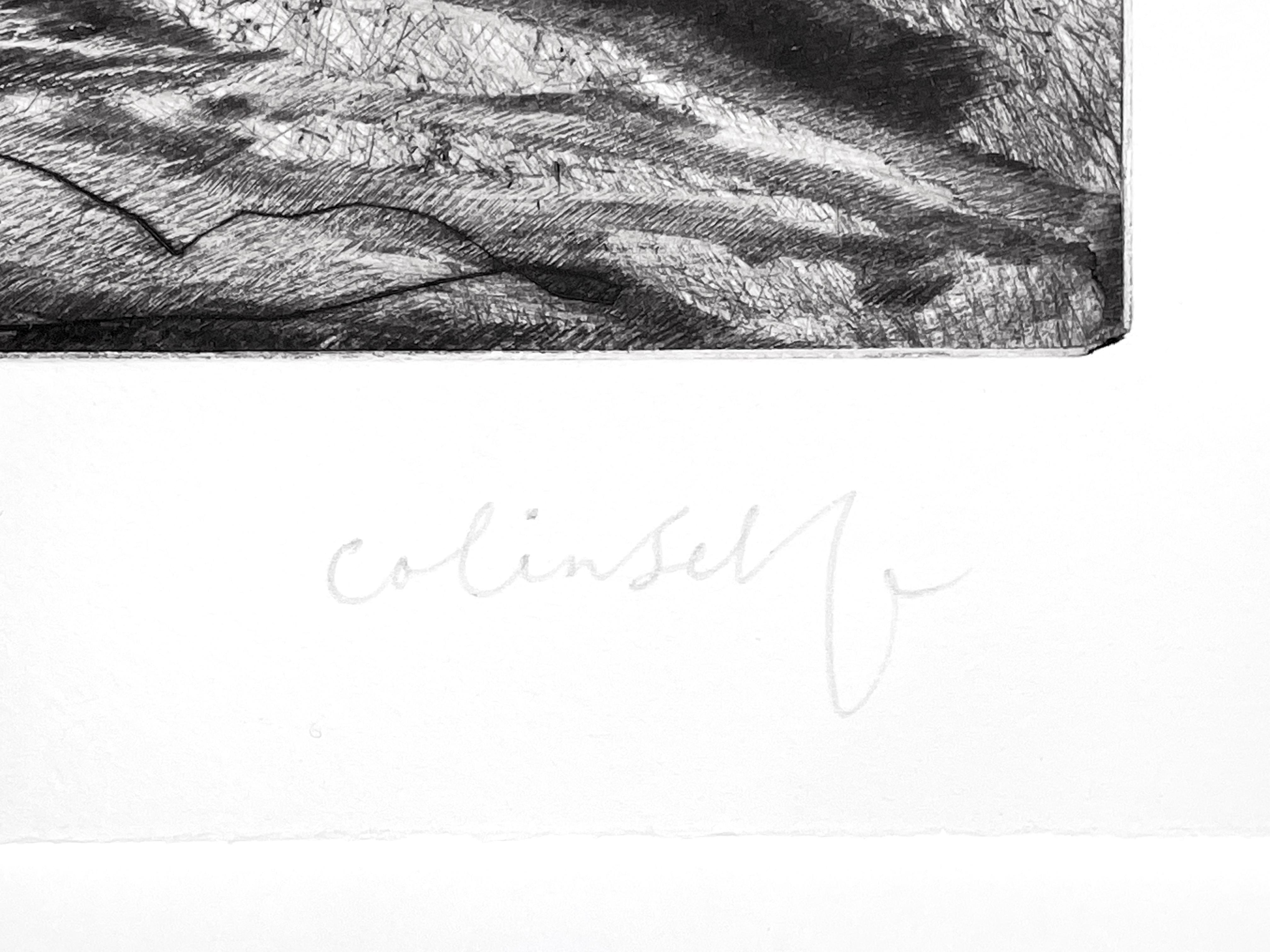  Oiseau mort pour Craigie n° 2 - Print de Colin Self