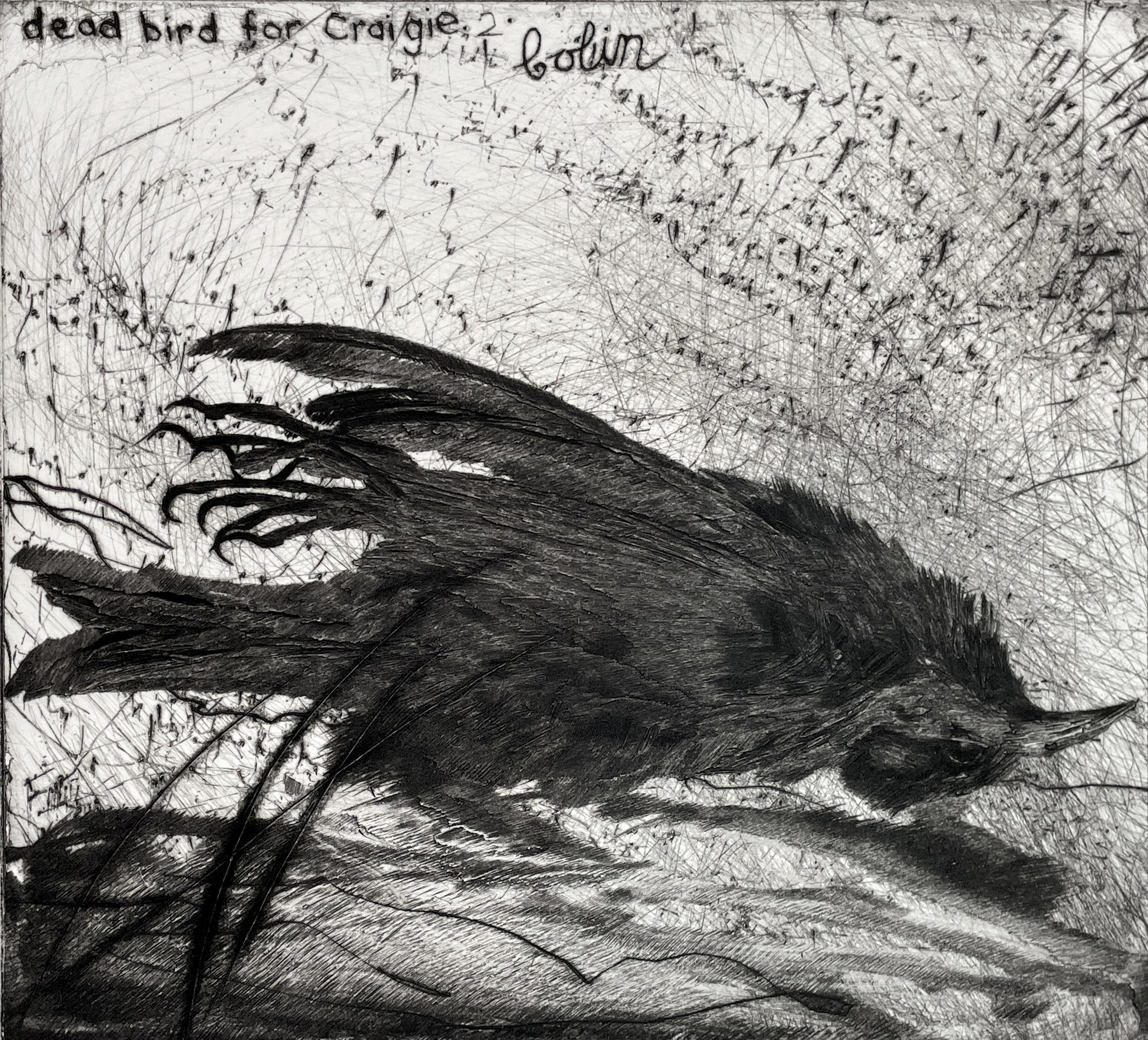 Colin Self Animal Print -  Dead Bird for Craigie No. 2