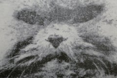 Power and Beauty No. 1, serigrafia Pop Art Cat di Colin Self