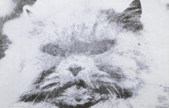 Poder y belleza n.º 1, serigrafía pop art de gato por Colin Self