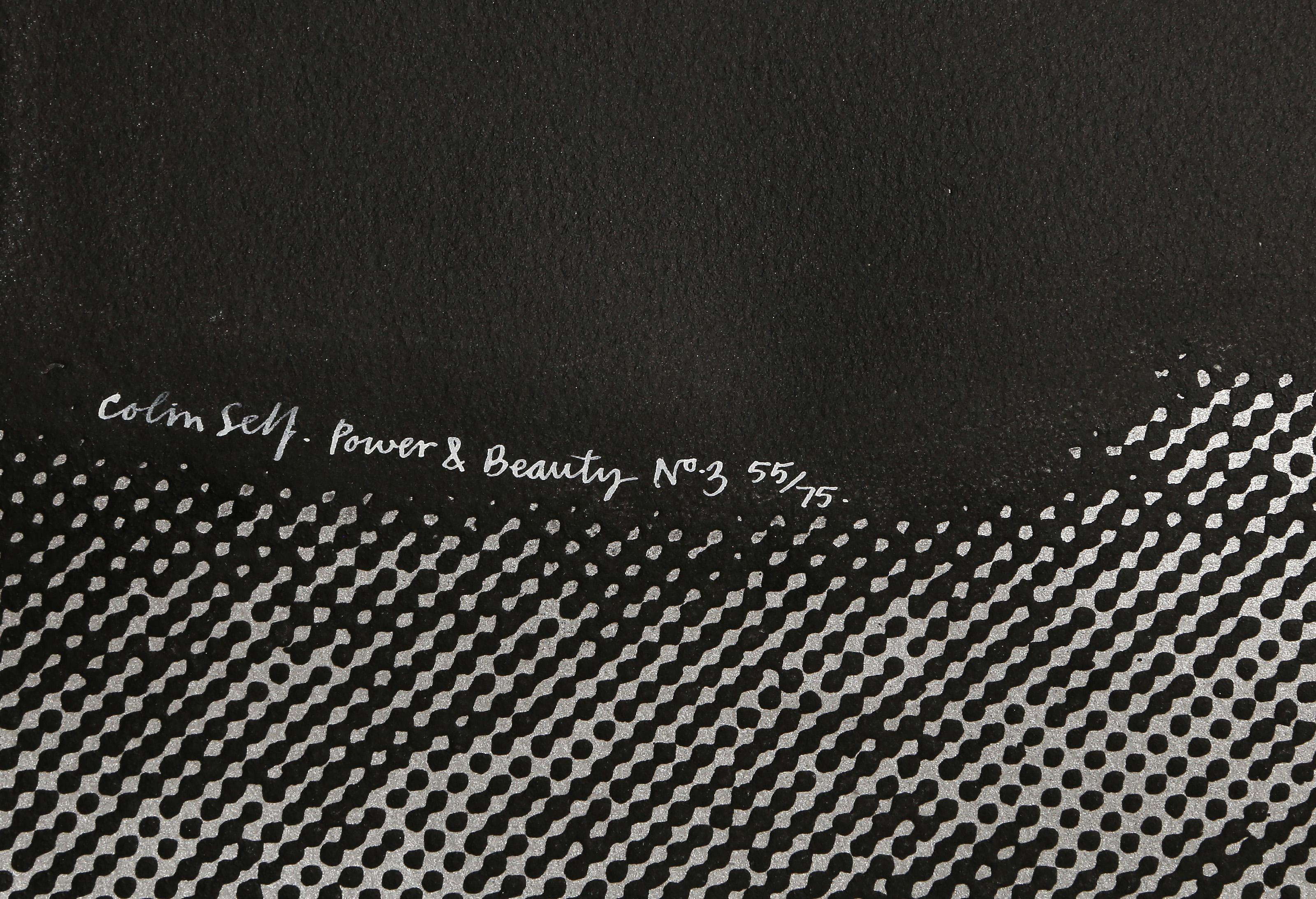 Power and Beauty No 3, Pop Art Screenprint by Colin Self For Sale 2