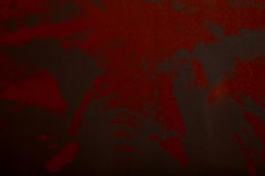 Power and Beauty No. 5, serigrafia Pop Art Elephant di Colin Self