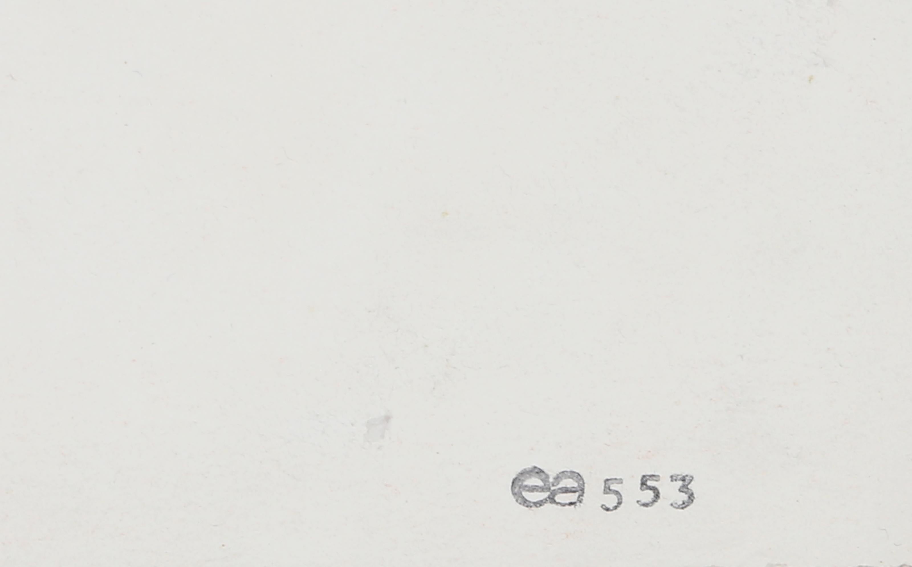 Poder y Belleza nº 5, Serigrafía Pop Art Elefante por Colin Self en venta 3