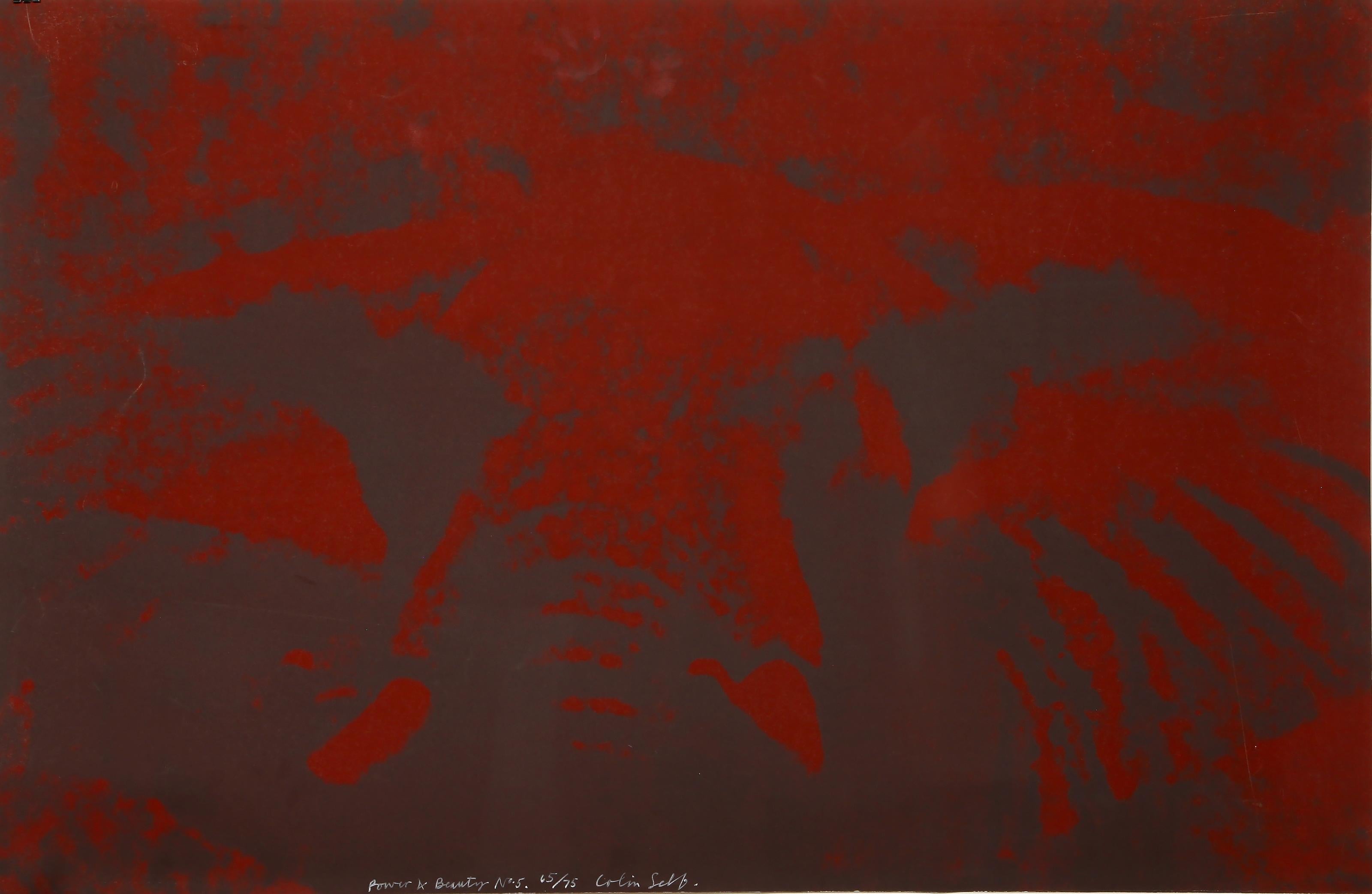 Poder y Belleza nº 5 de Colin Self, británico (1941)
Fecha: 1969
Serigrafía, firmada, titulada y numerada a lápiz
Edición de 65/75
Tamaño: 67,95 x 104,78 cm (26,75 x 41,25 pulg.)
Editor: Alecto Studios, Londres