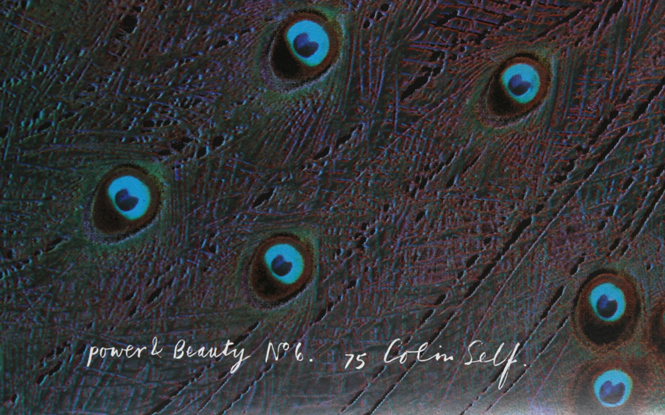Power and Beauty No. 6 (Peacock), Pop Art Screenprint by Colin Self For Sale 2